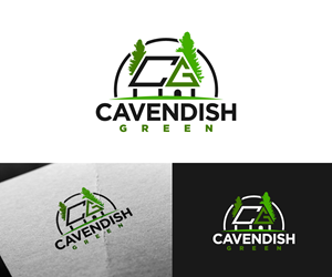 Logo-Design von Ansh Design für dieses Projekt | Design: #35019871