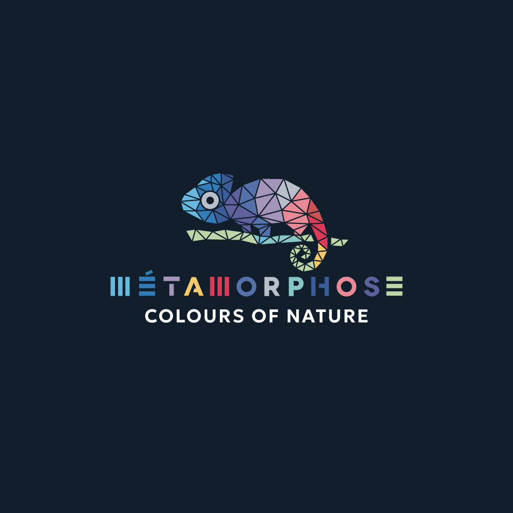 Logo Design by Franabanana for this project | Design #35056941
