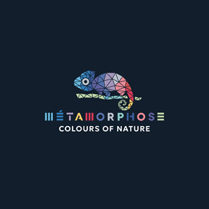 Logo Design by Franabanana for this project | Design: #35056941