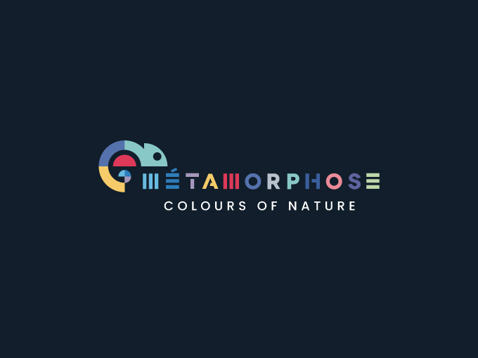 Logo Design by coloratura for this project | Design #35025109
