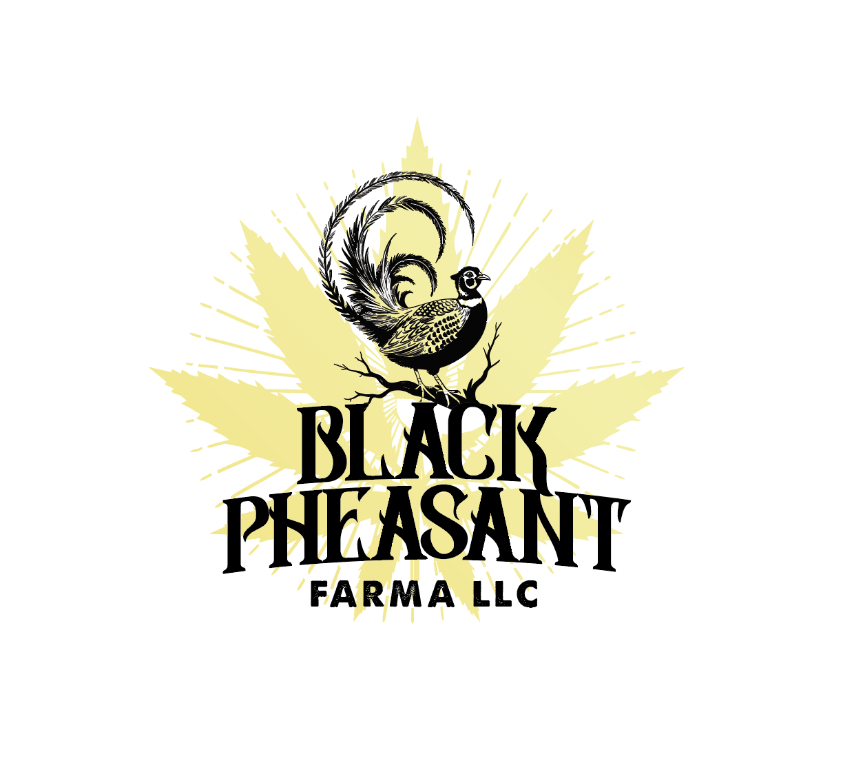 Logo Design by creativeDAGA for Black Pheasant Farm LLC | Design #35033446