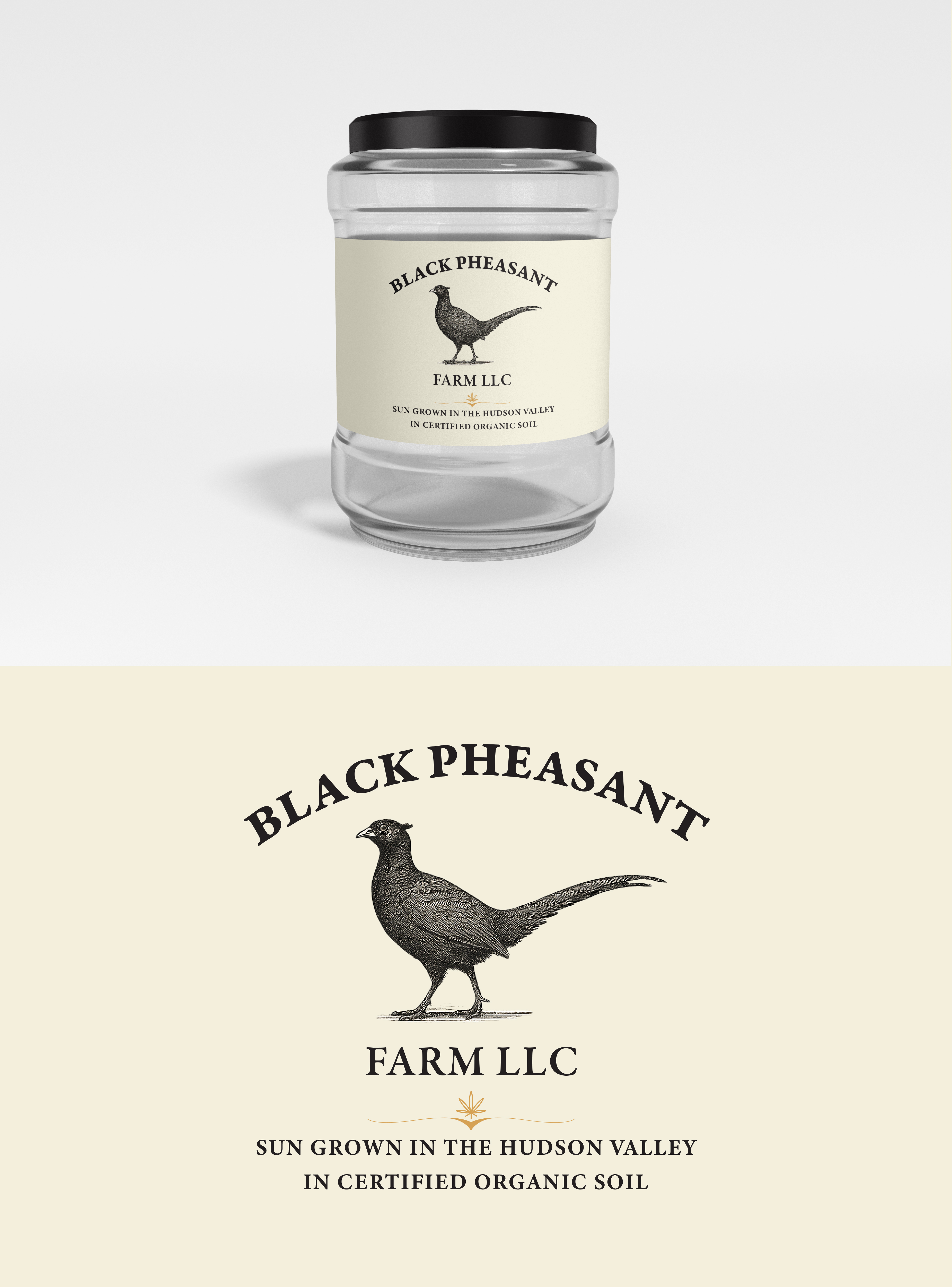 Logo Design by Manu-25 for Black Pheasant Farm LLC | Design #35031164