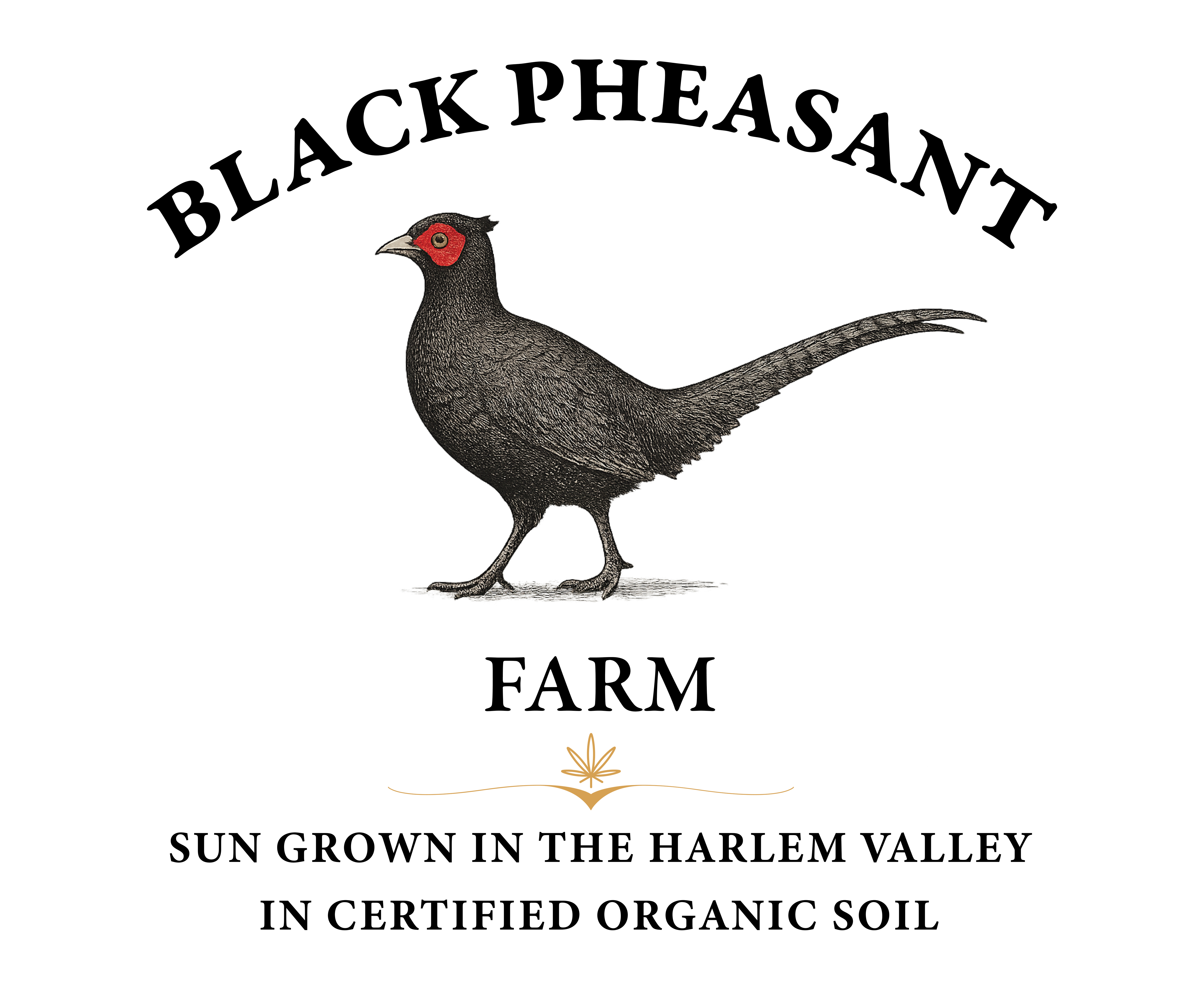 Logo Design by Manu-25 for Black Pheasant Farm LLC | Design #35163180