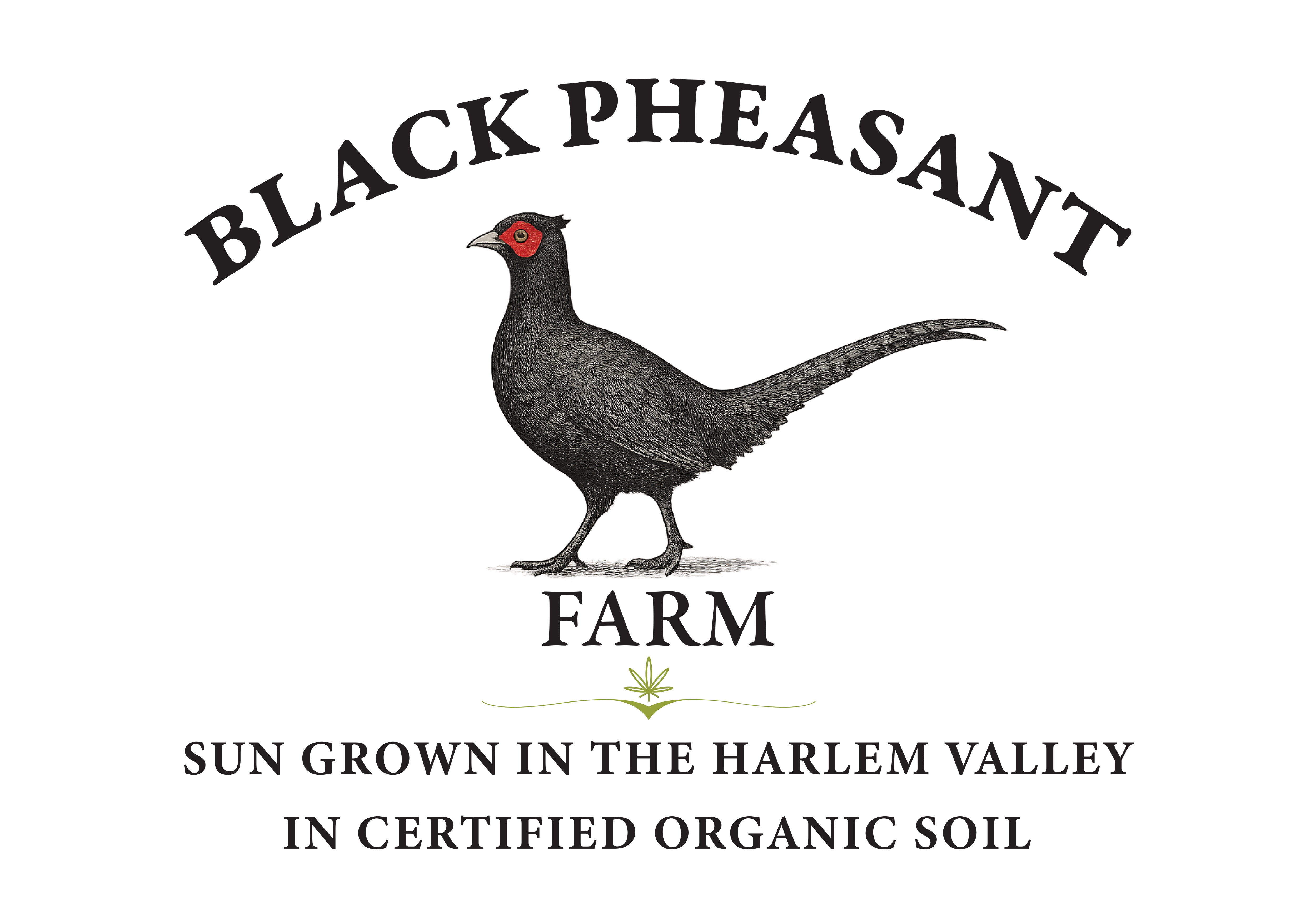 Logo Design by Manu-25 for Black Pheasant Farm LLC | Design #35355026