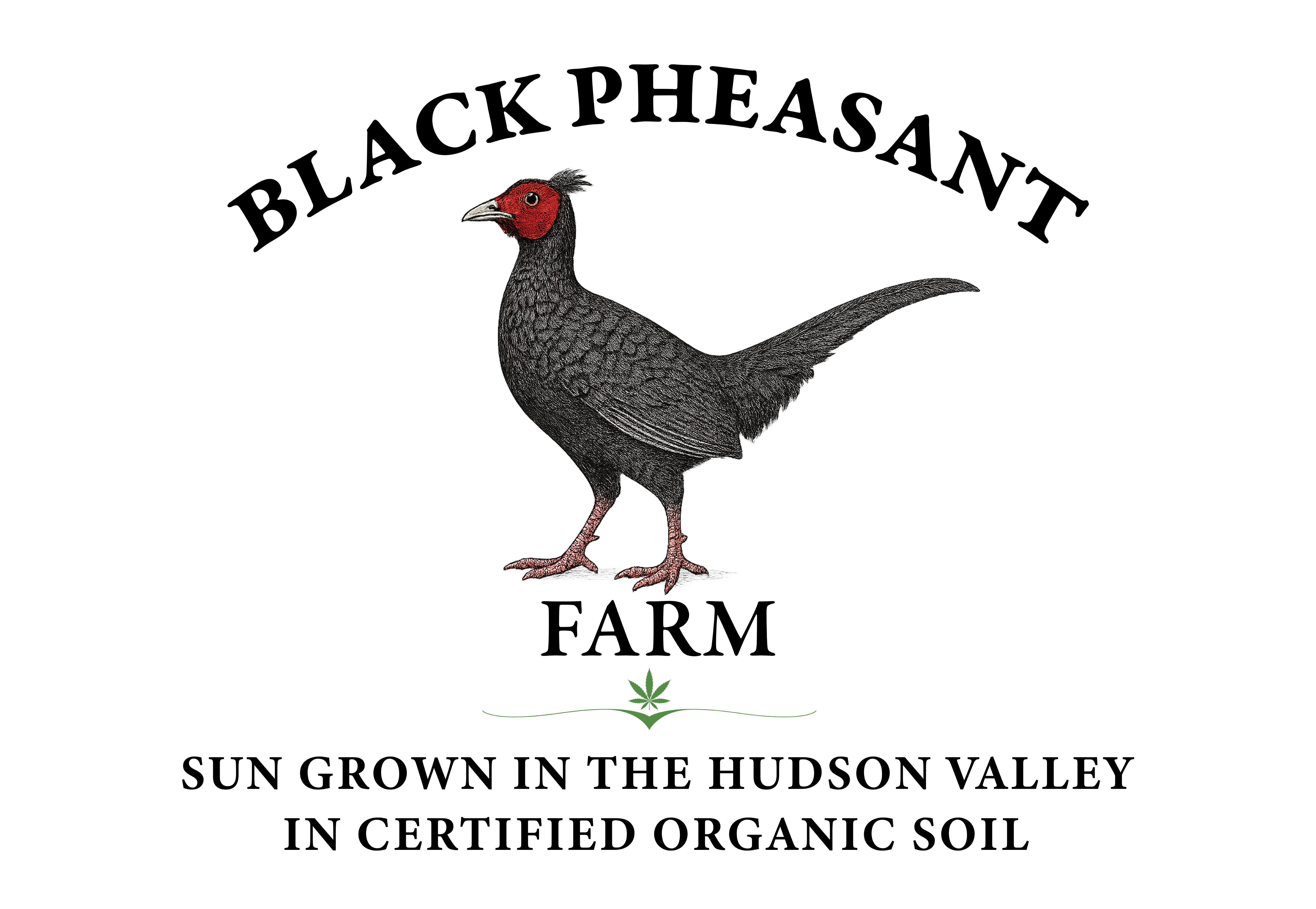 Logo Design by Manu-25 for Black Pheasant Farm LLC | Design #35446314