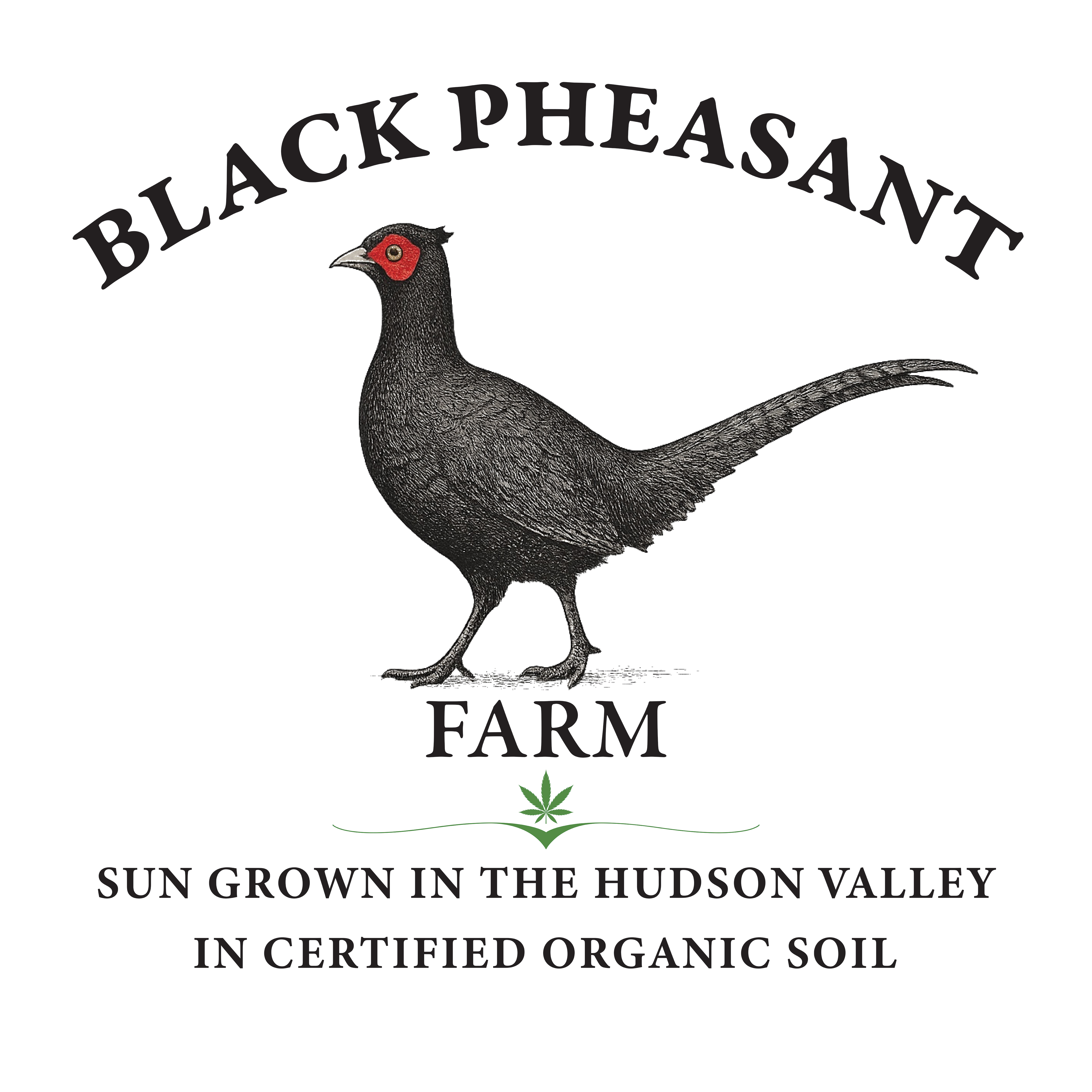 Logo Design by Manu-25 for Black Pheasant Farm LLC | Design #35517041