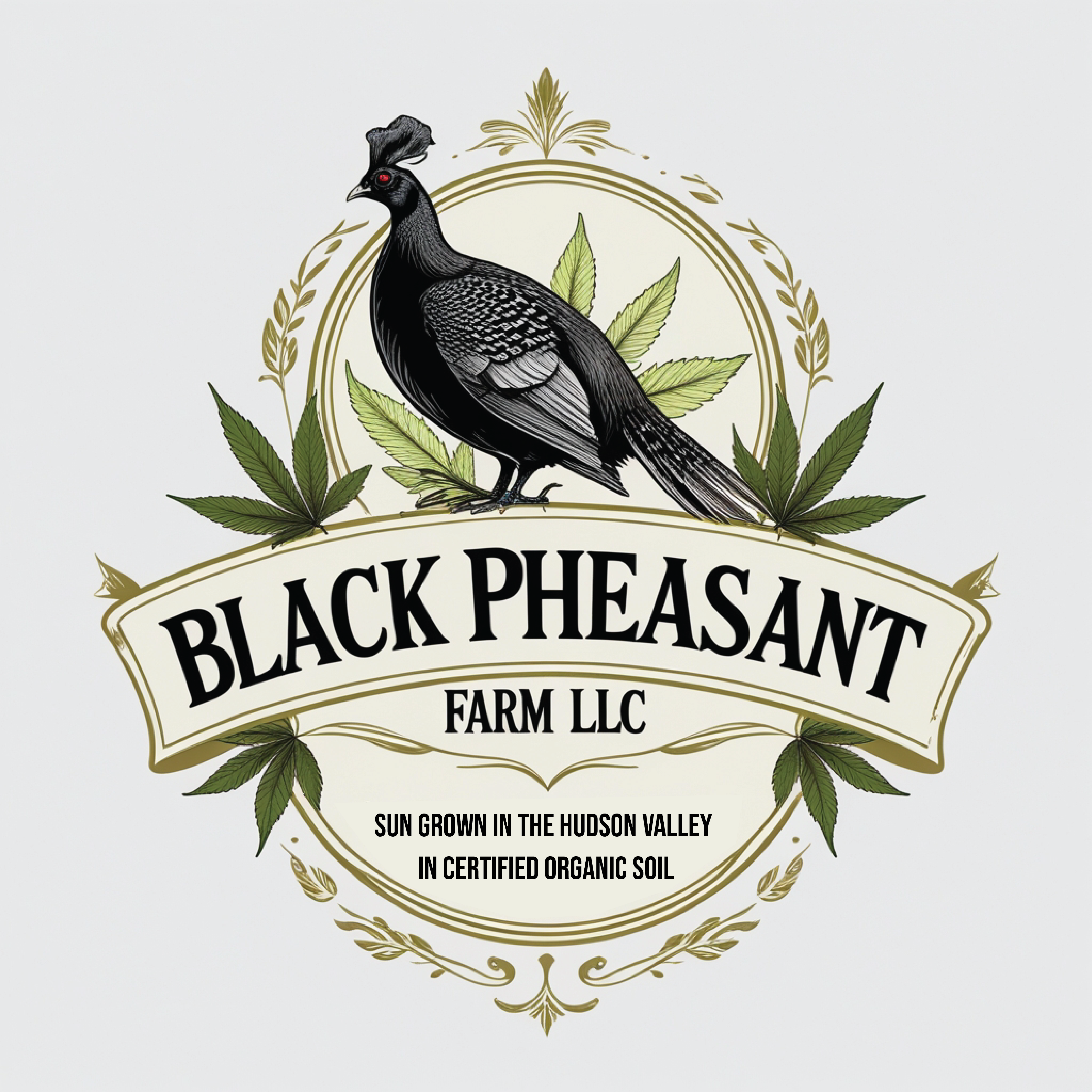 Logo Design by -ACE- for Black Pheasant Farm LLC | Design #35050553