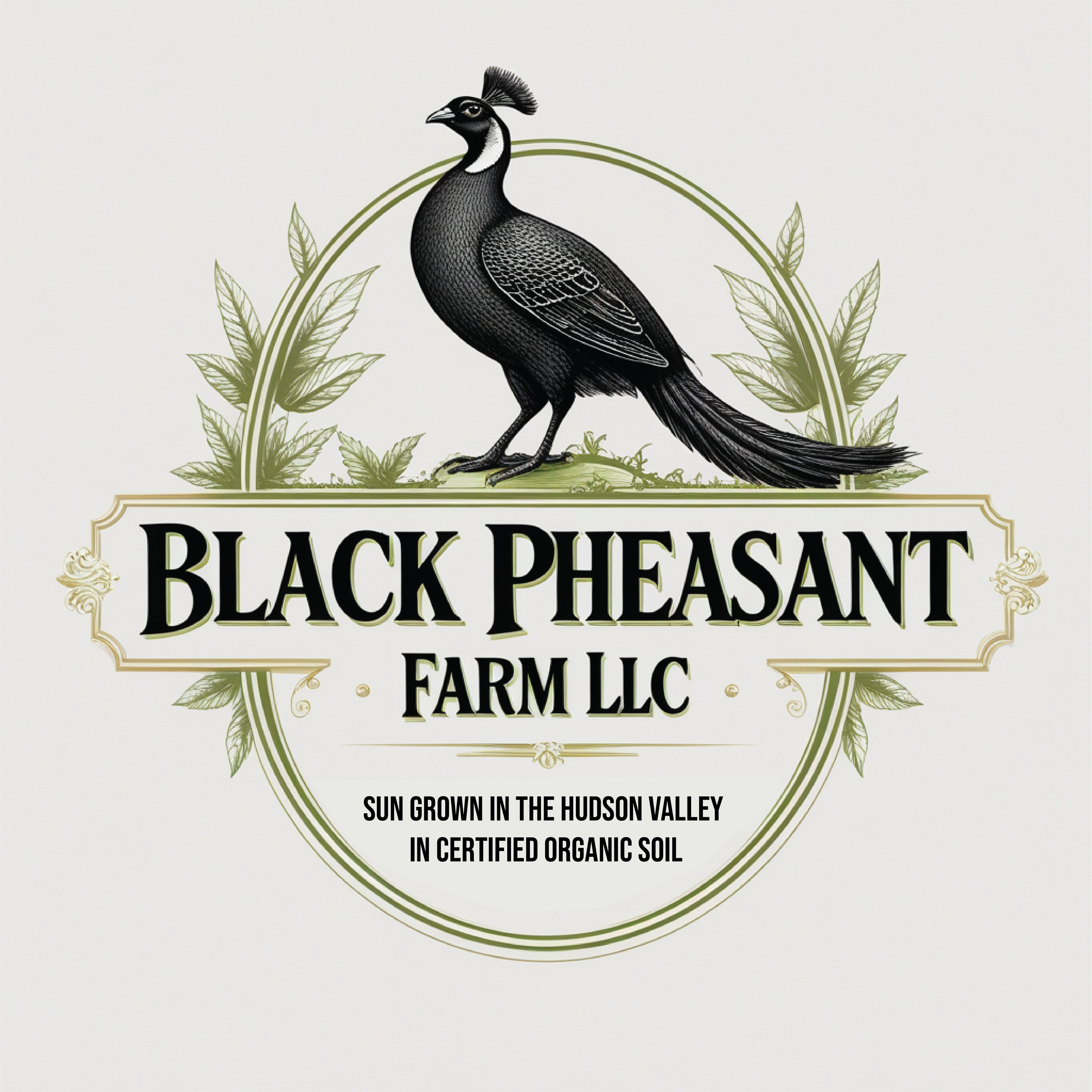Logo Design by -ACE- for Black Pheasant Farm LLC | Design #35050556