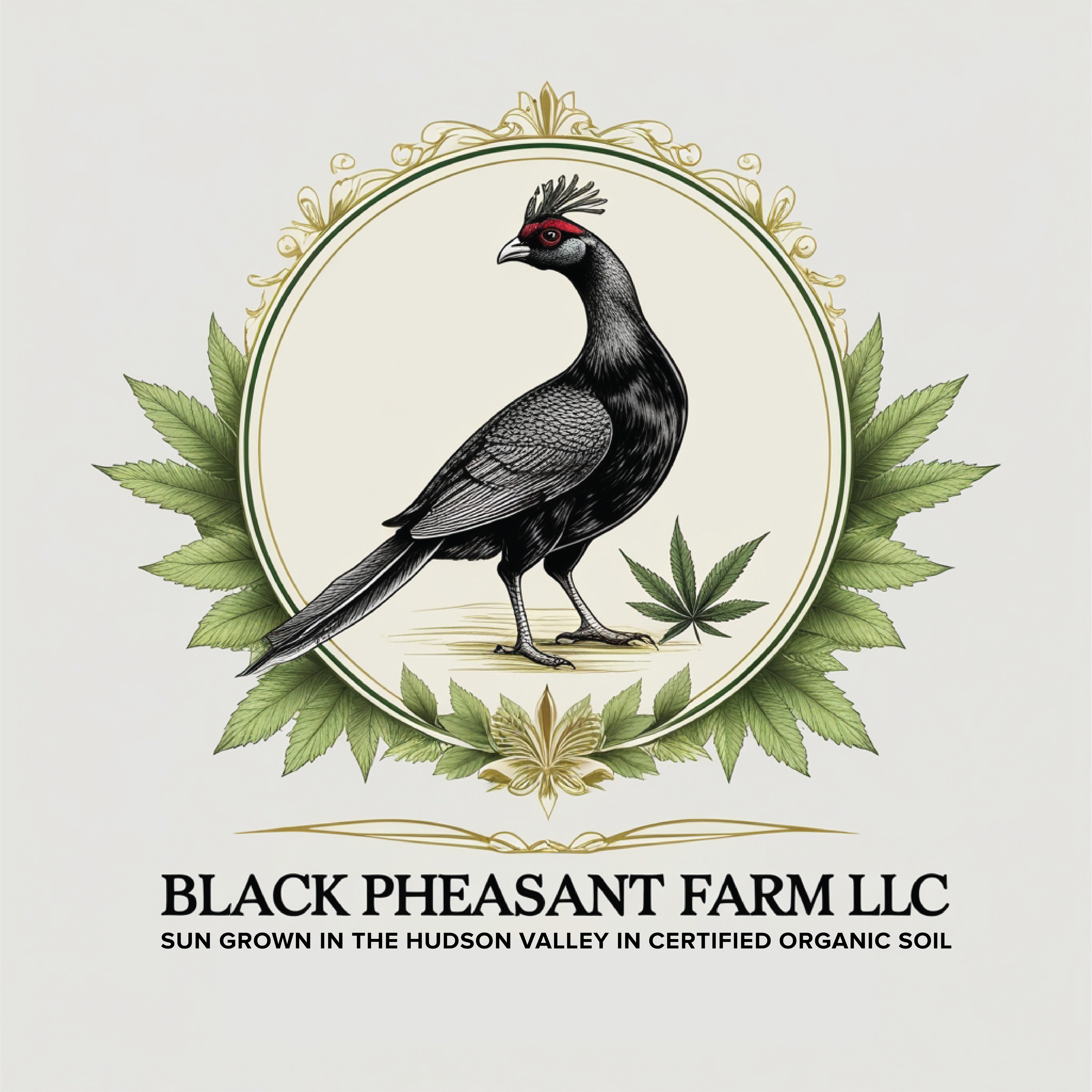 Logo Design by -ACE- for Black Pheasant Farm LLC | Design #35050557