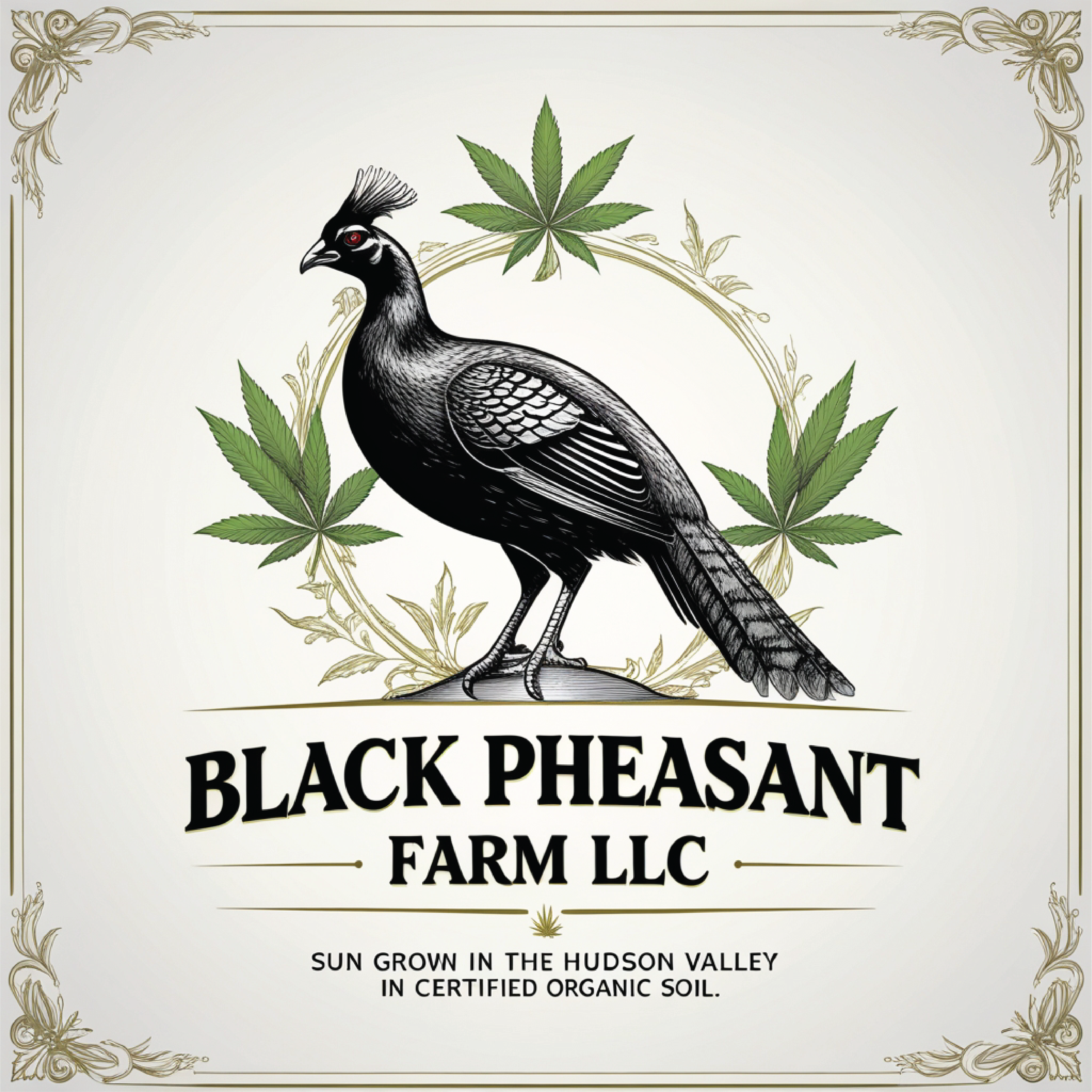 Logo Design by -ACE- for Black Pheasant Farm LLC | Design #35050559