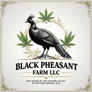 Logo Design by -ACE- for Black Pheasant Farm LLC | Design: #35050559