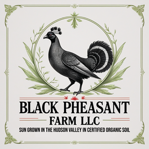 Logo Design by -ACE- for Black Pheasant Farm LLC | Design: #35050561