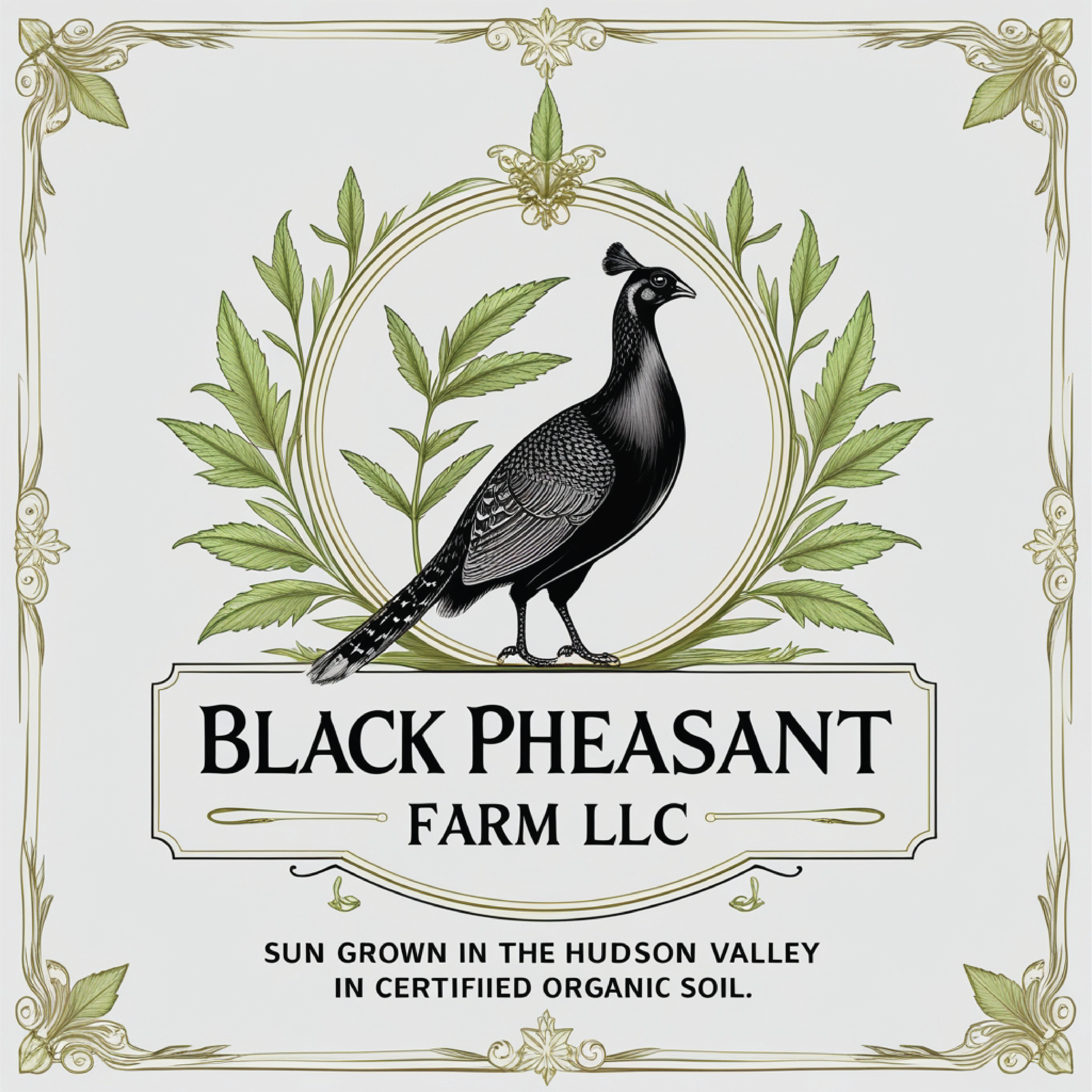 Logo Design by -ACE- for Black Pheasant Farm LLC | Design #35050562