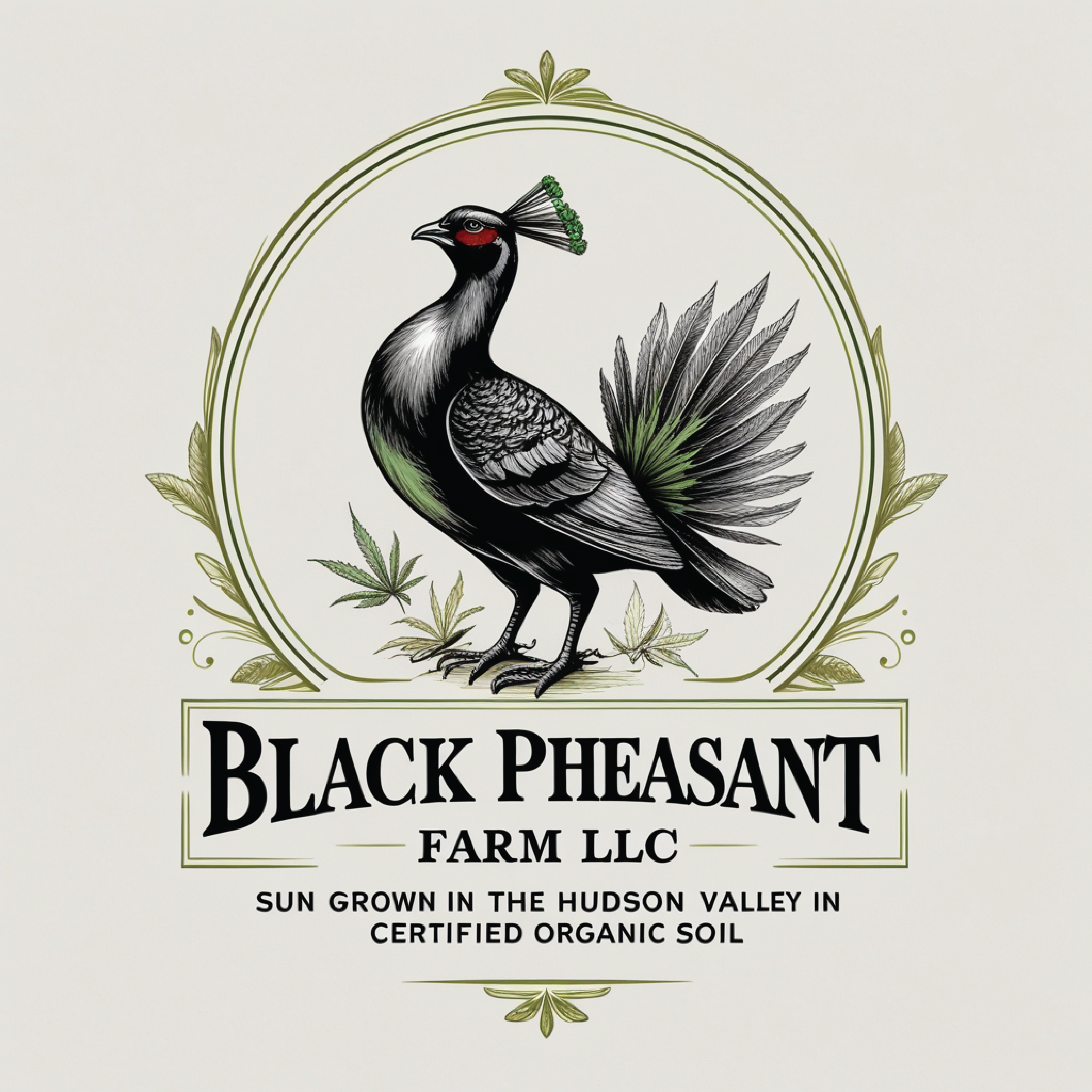 Logo Design by -ACE- for Black Pheasant Farm LLC | Design #35050563
