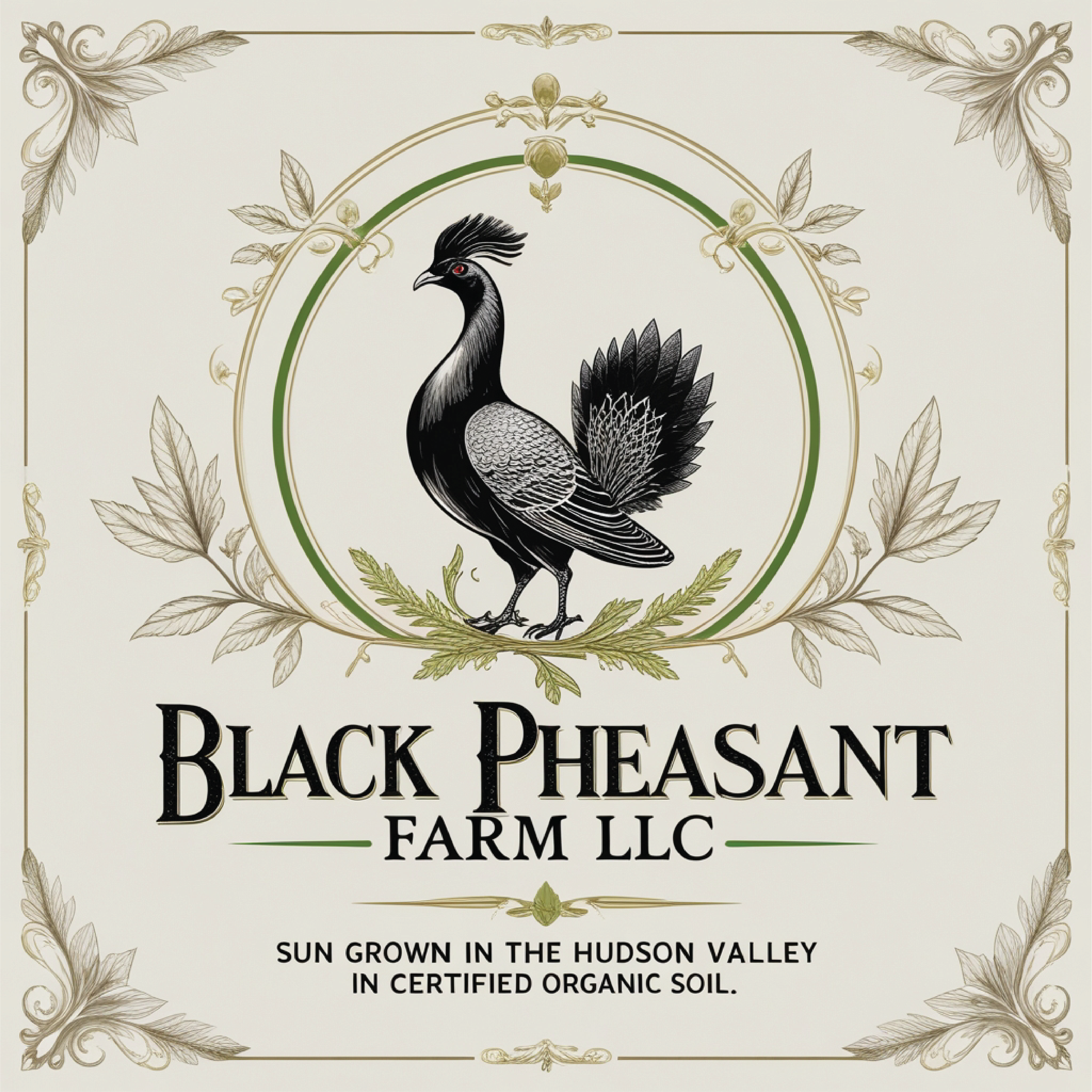 Logo Design by -ACE- for Black Pheasant Farm LLC | Design #35050565