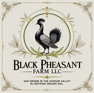 Logo Design by -ACE- for Black Pheasant Farm LLC | Design: #35050565