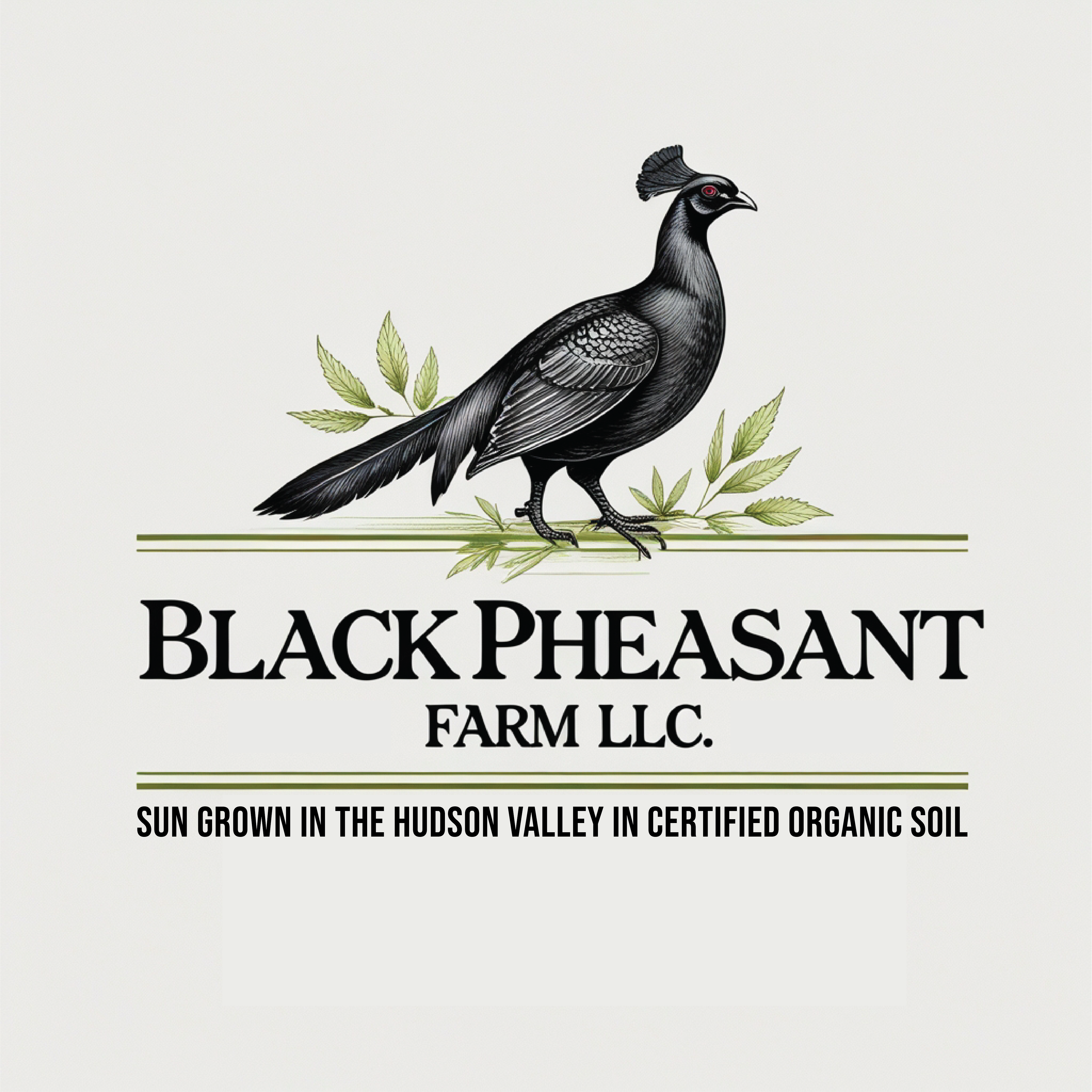 Logo Design by -ACE- for Black Pheasant Farm LLC | Design #35050566