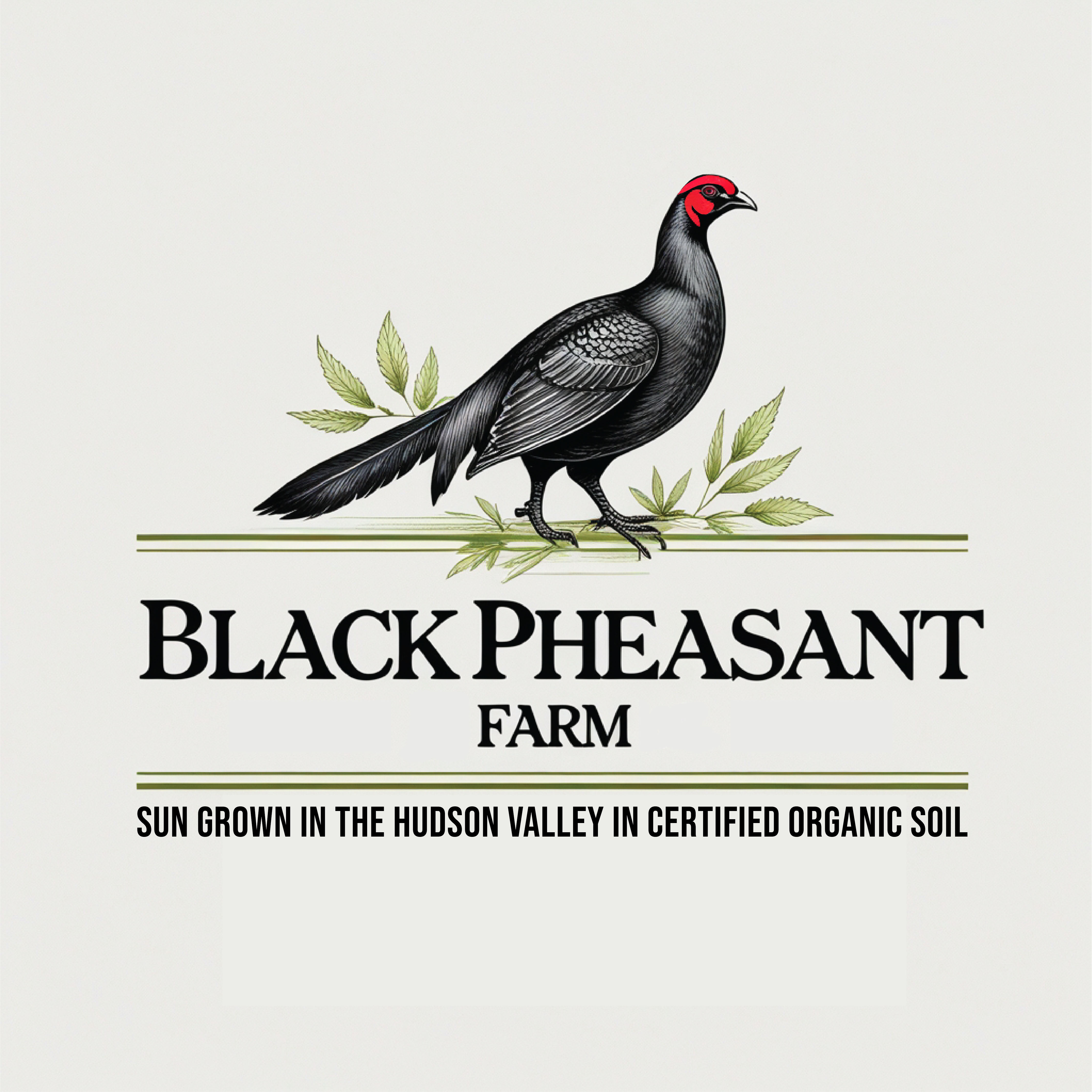 Logo Design by -ACE- for Black Pheasant Farm LLC | Design #35051156