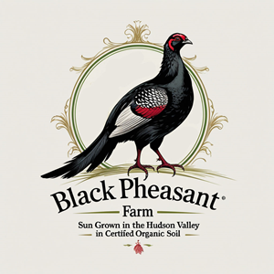Logo Design by -ACE- for Black Pheasant Farm LLC | Design: #35051162