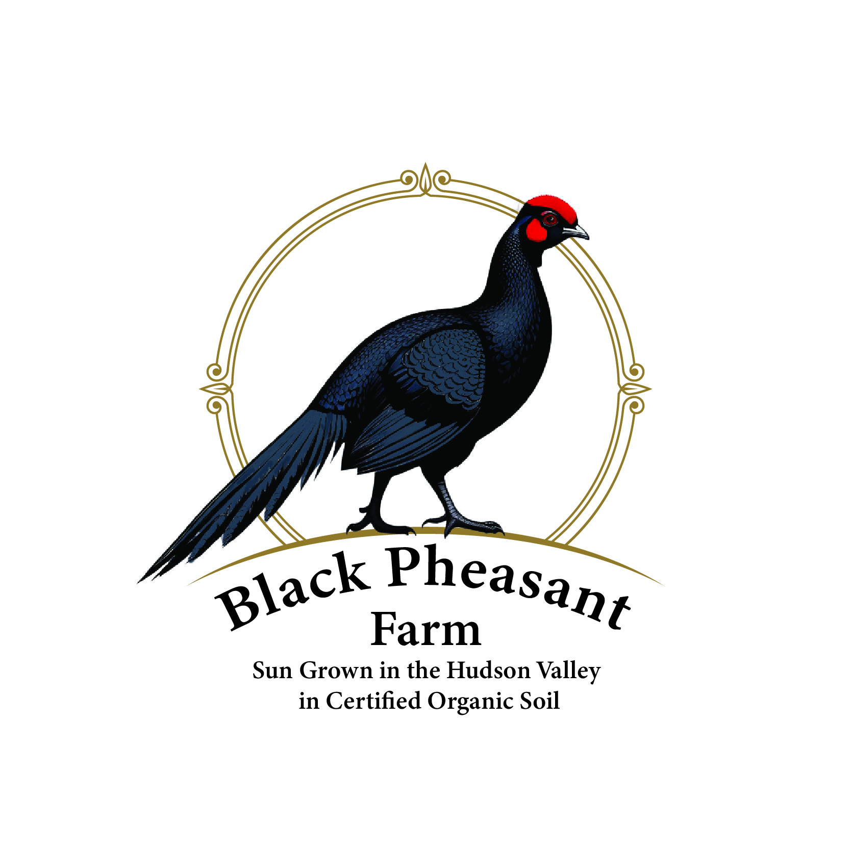Logo Design by -ACE- for Black Pheasant Farm LLC | Design #35061737