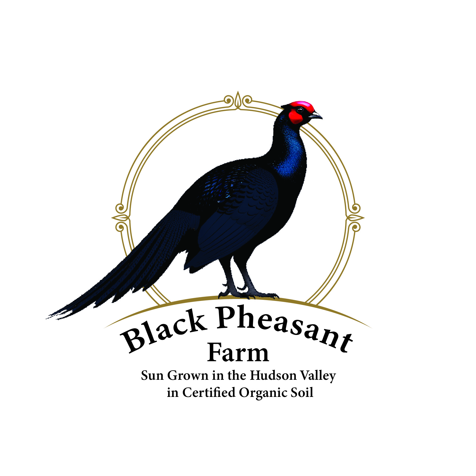 Logo Design by -ACE- for Black Pheasant Farm LLC | Design #35061738