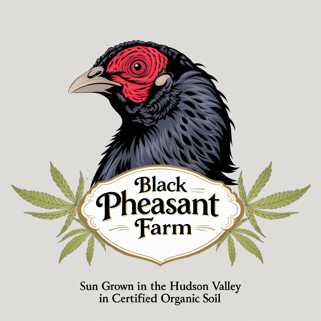 Logo Design by -ACE- for Black Pheasant Farm LLC | Design #35066207
