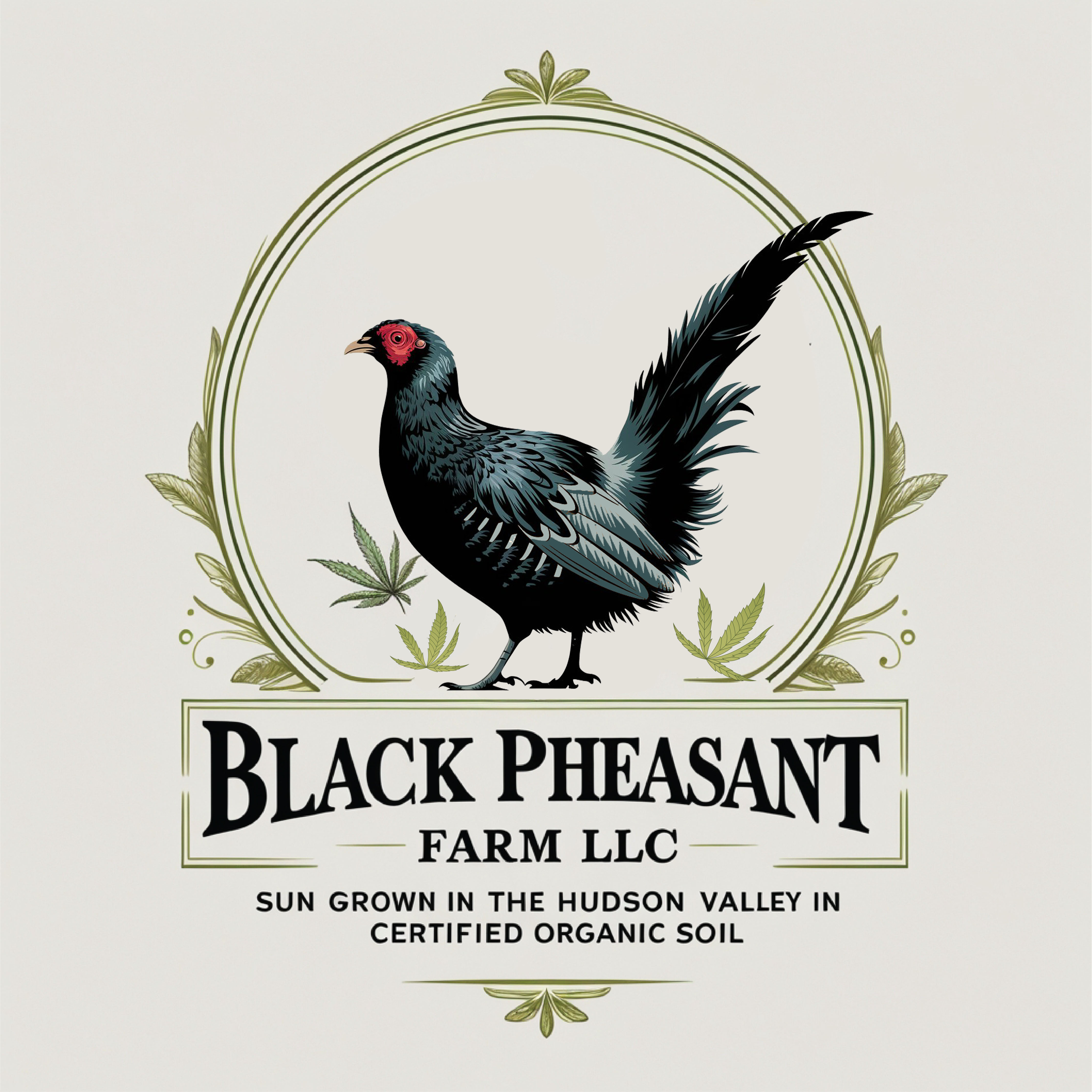 Logo Design by -ACE- for Black Pheasant Farm LLC | Design #35066208