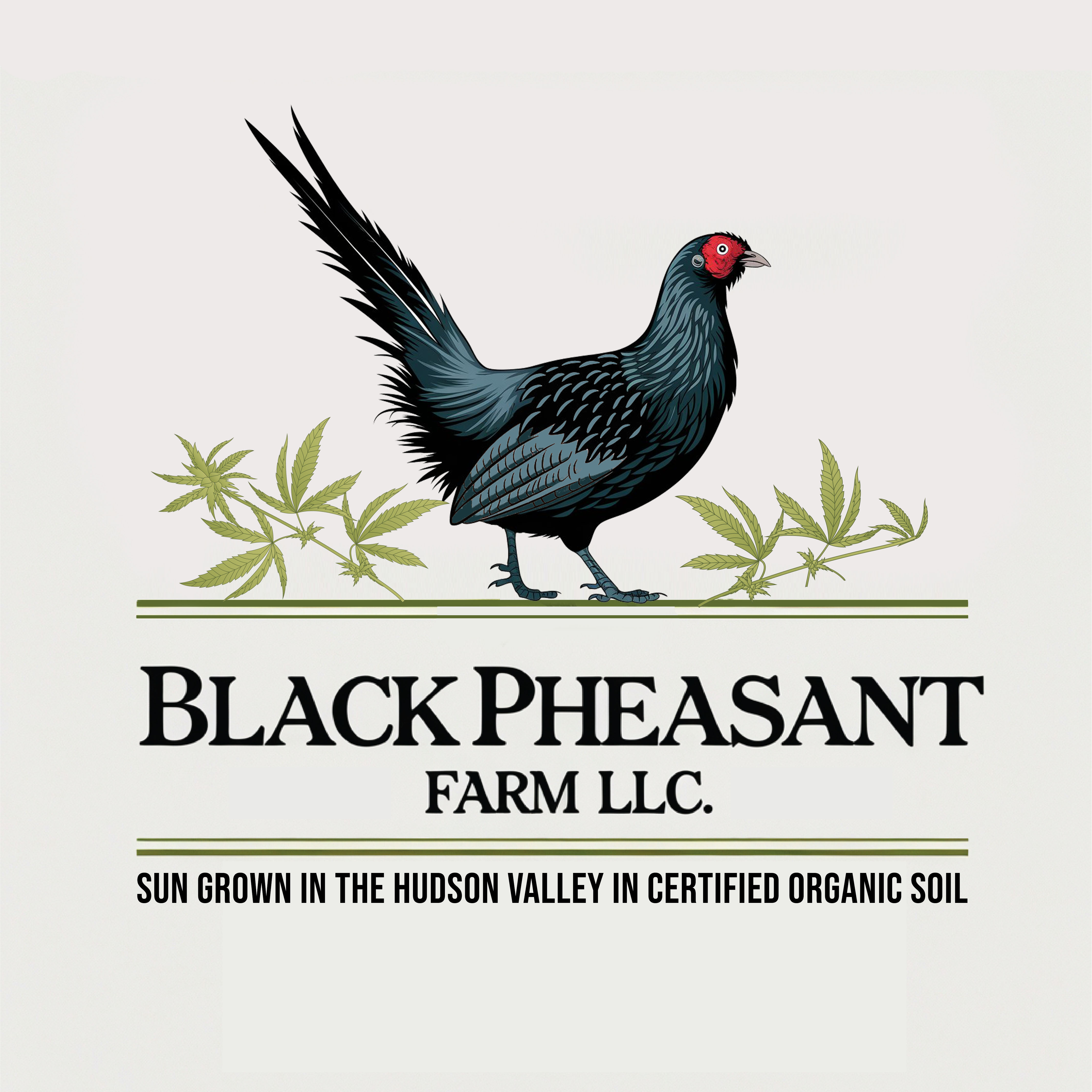 Logo Design by -ACE- for Black Pheasant Farm LLC | Design #35066210