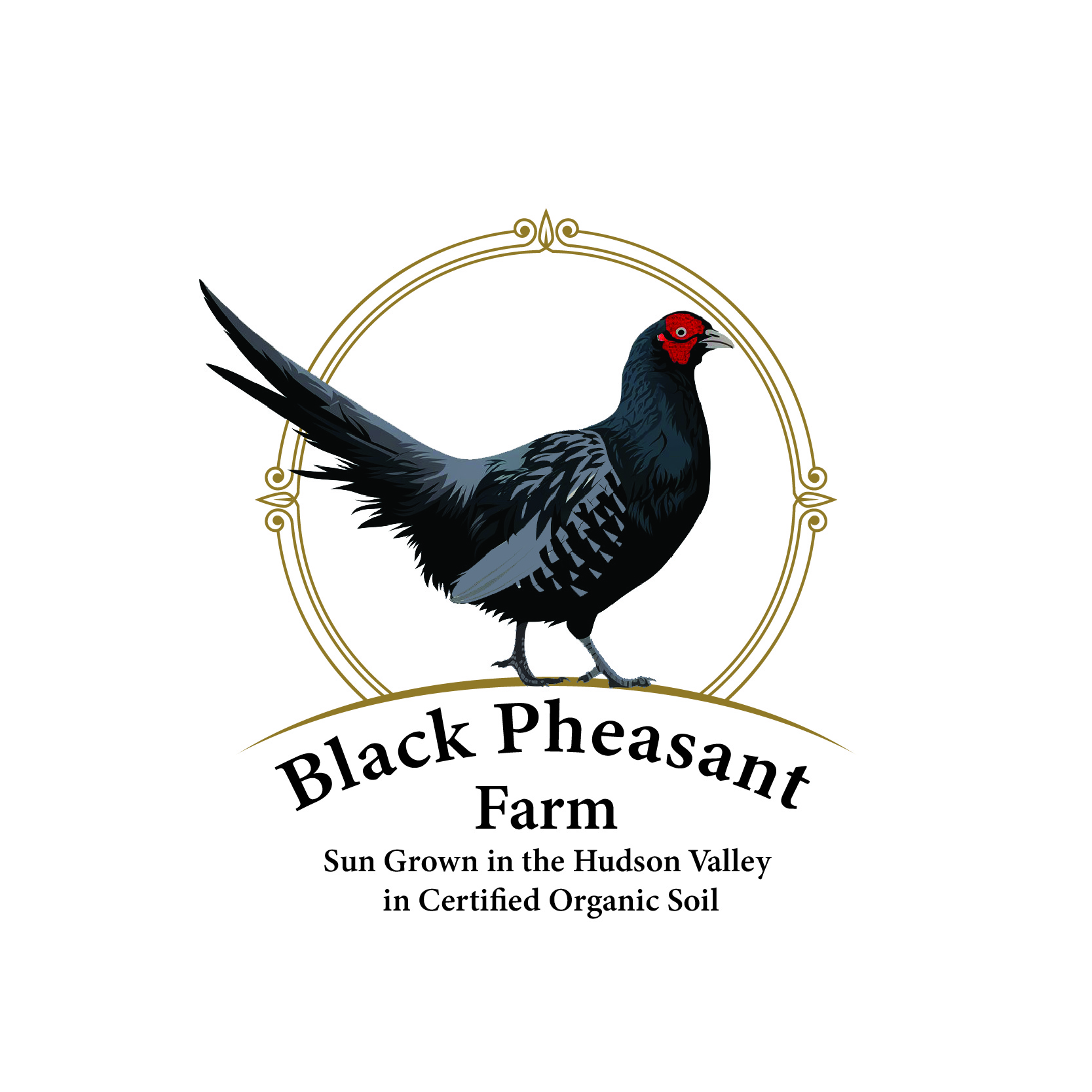 Logo Design by -ACE- for Black Pheasant Farm LLC | Design #35066211
