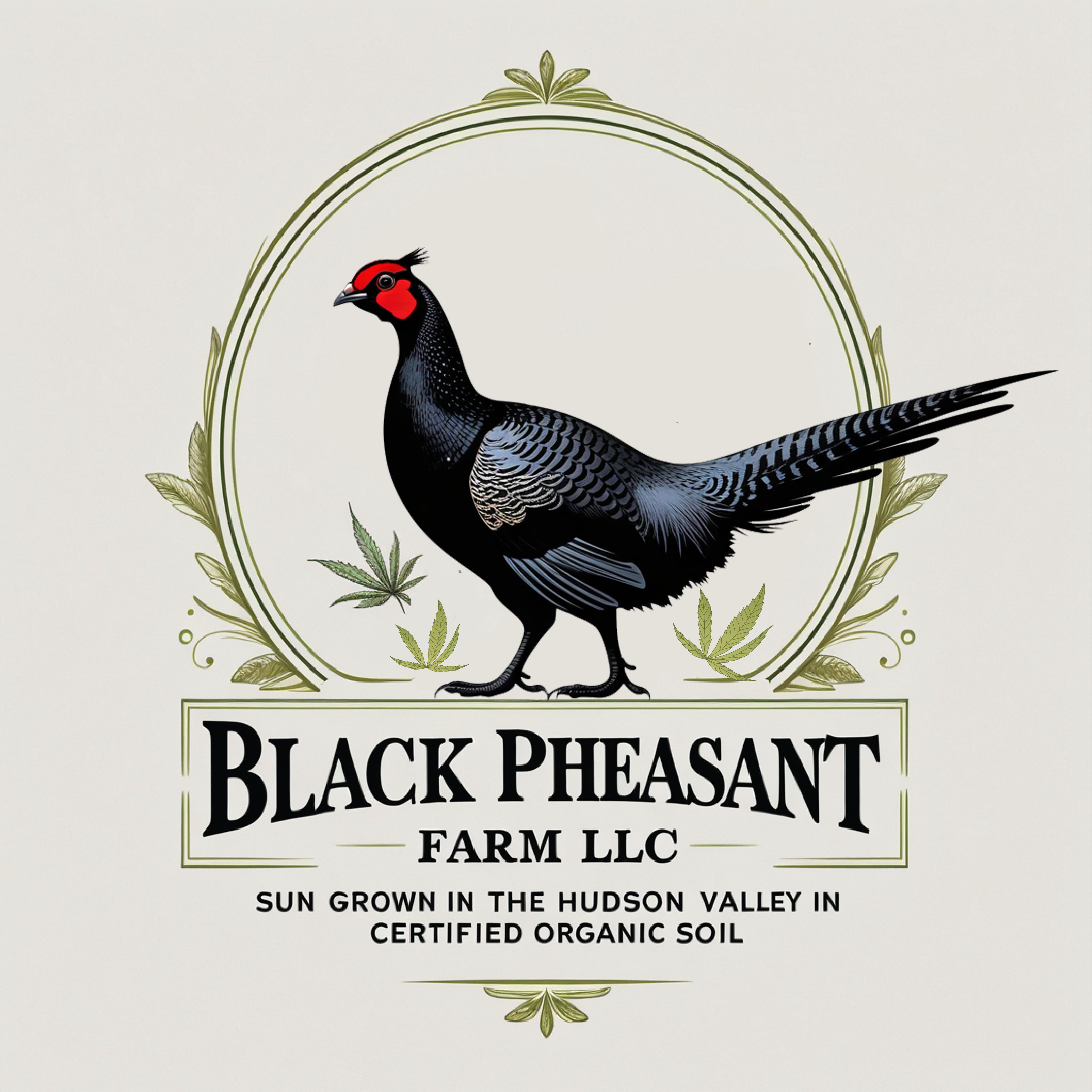 Logo Design by -ACE- for Black Pheasant Farm LLC | Design #35072584