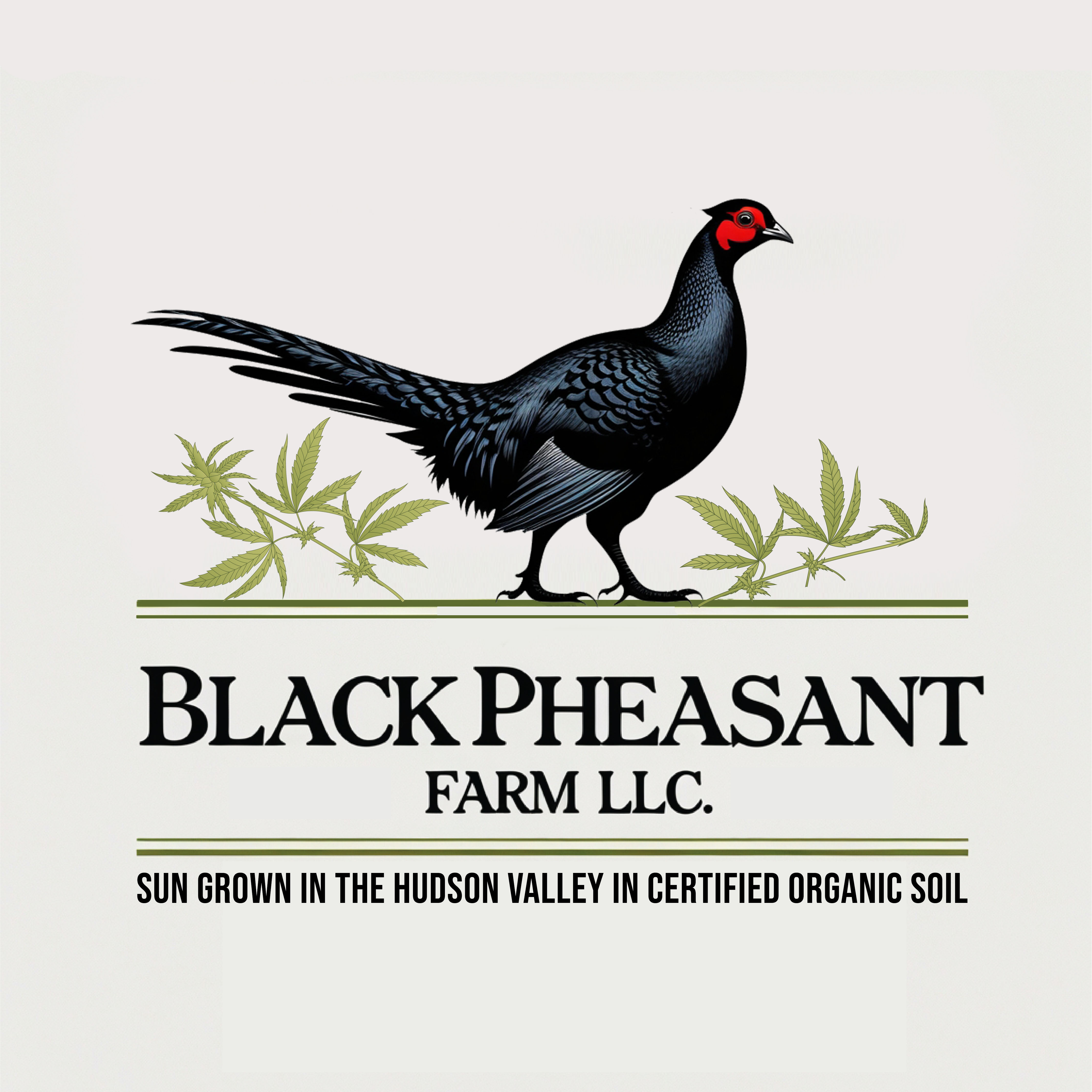 Logo Design by -ACE- for Black Pheasant Farm LLC | Design #35072586