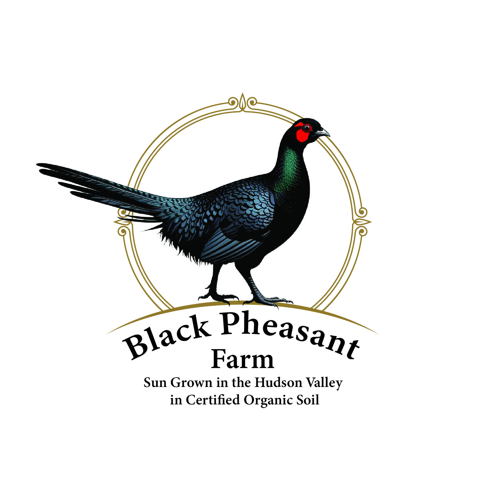Diseño de Logo por -ACE- para Black Pheasant Farm LLC | Diseño #35072587