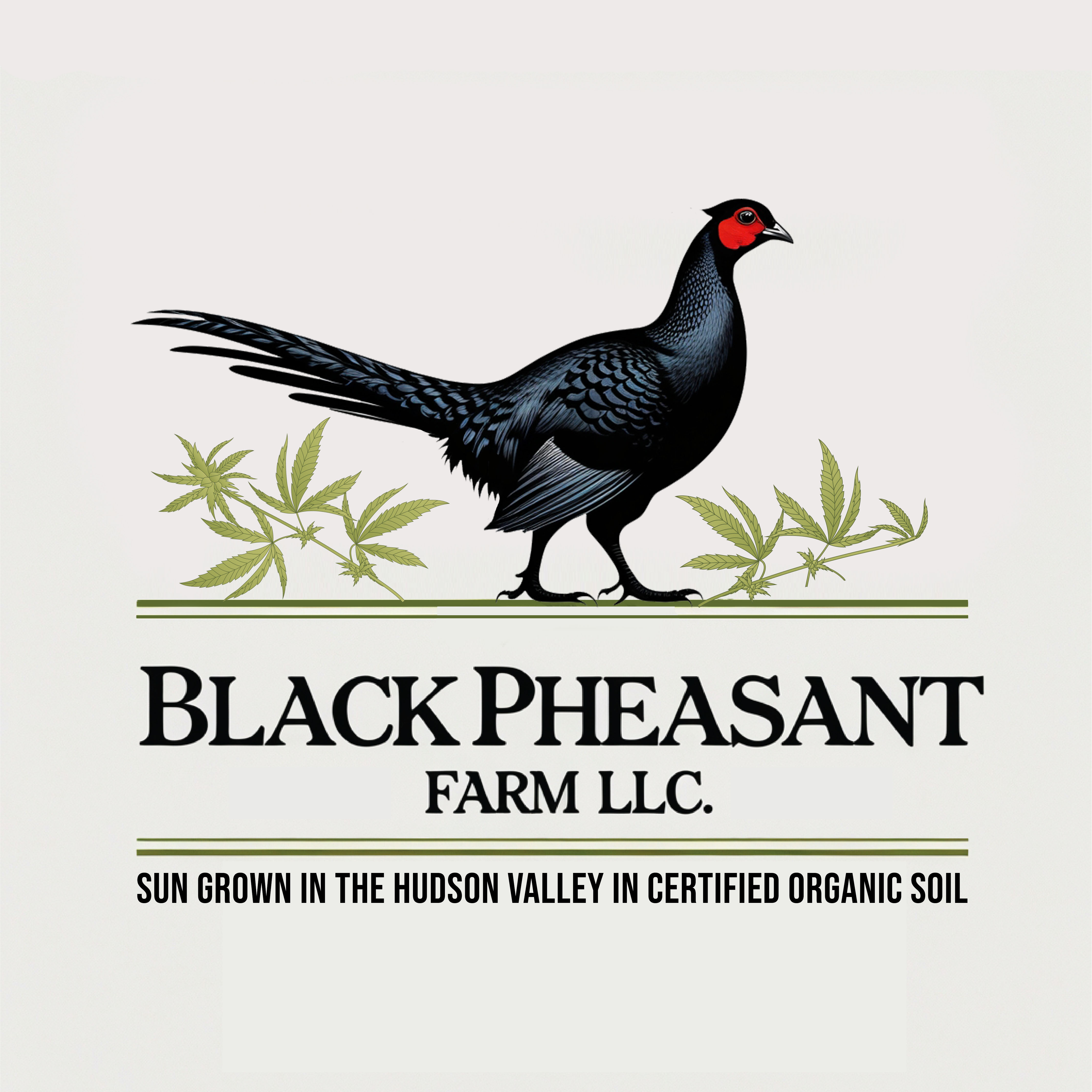 Logo Design by -ACE- for Black Pheasant Farm LLC | Design #35079676