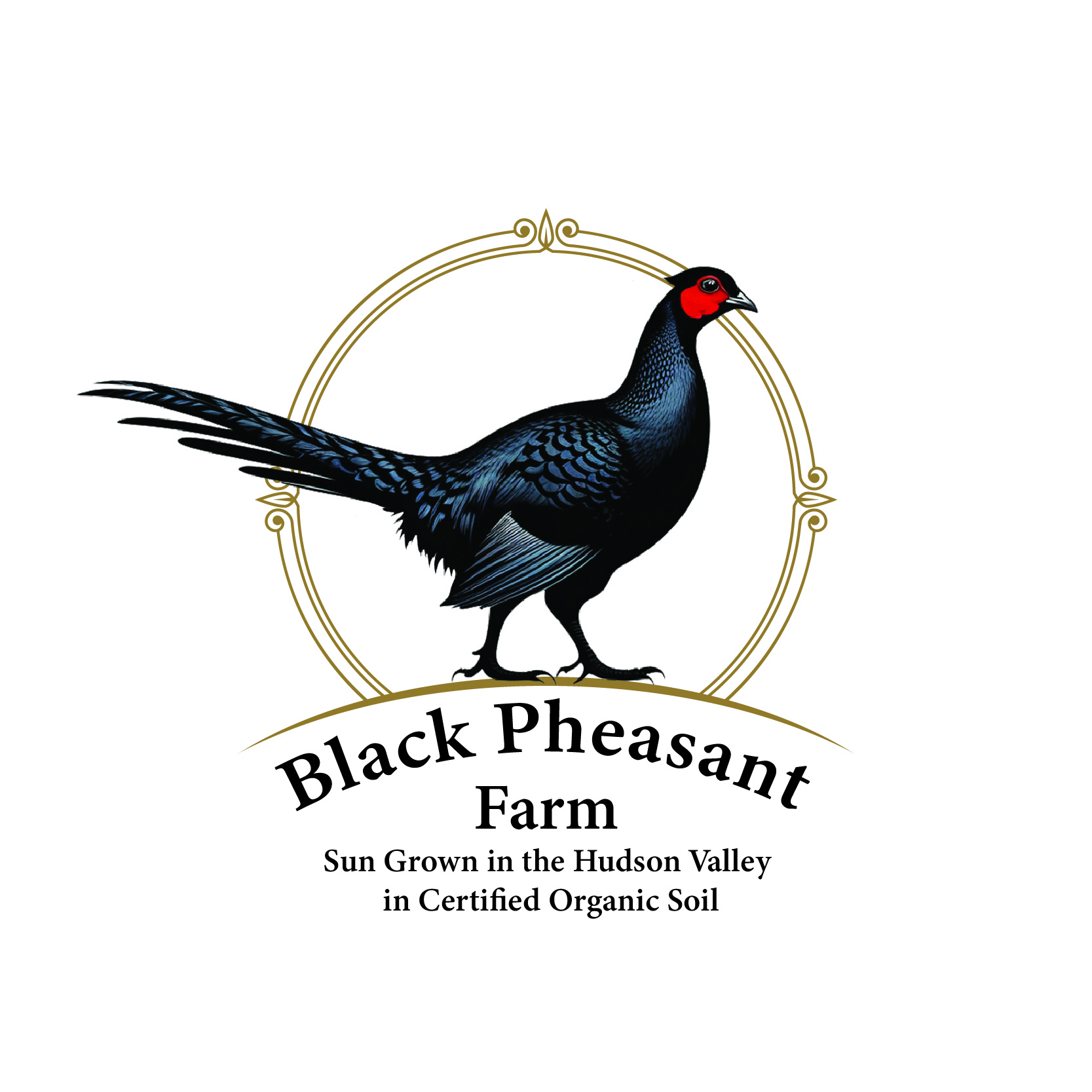 Logo Design by -ACE- for Black Pheasant Farm LLC | Design #35080259