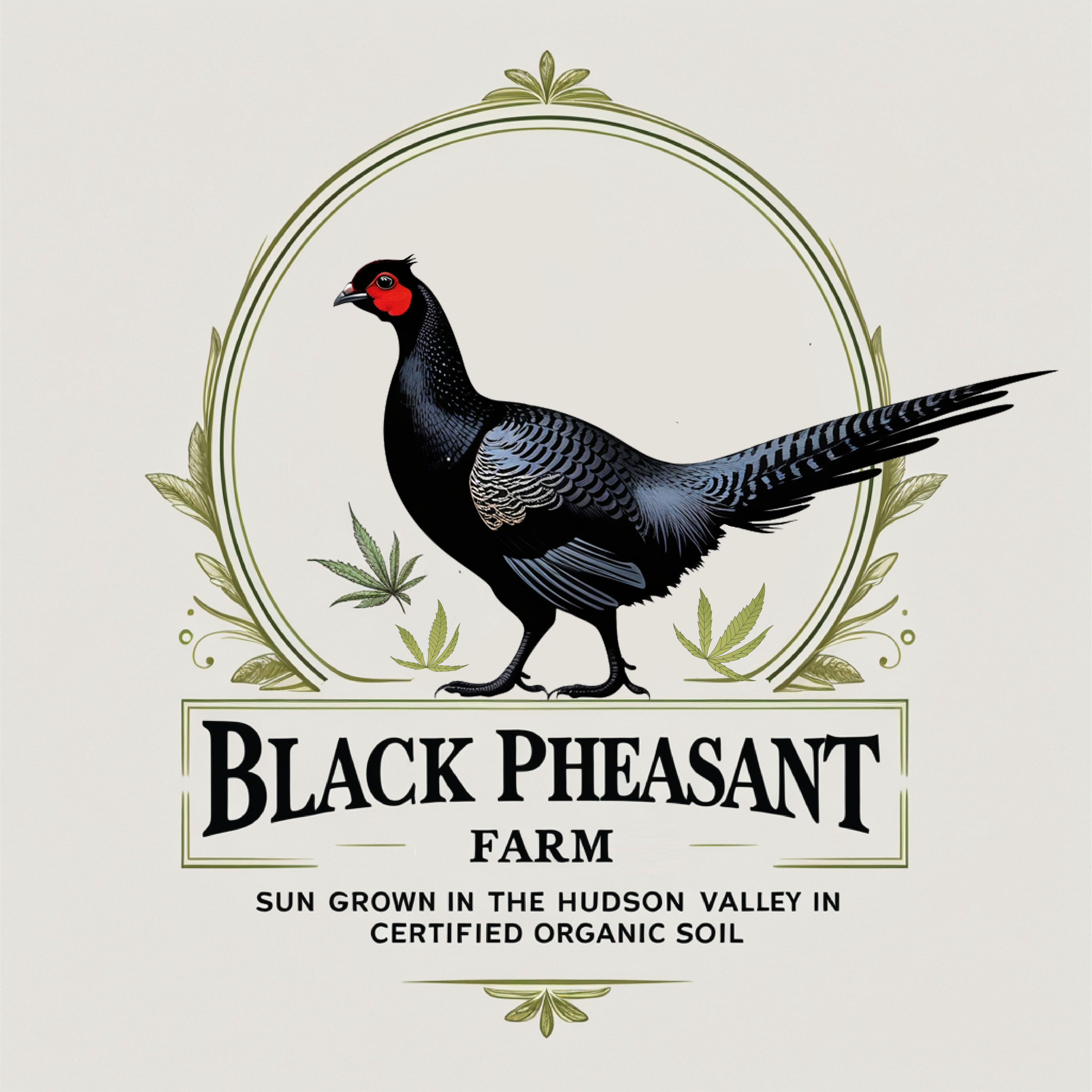 Logo Design by -ACE- for Black Pheasant Farm LLC | Design #35080424