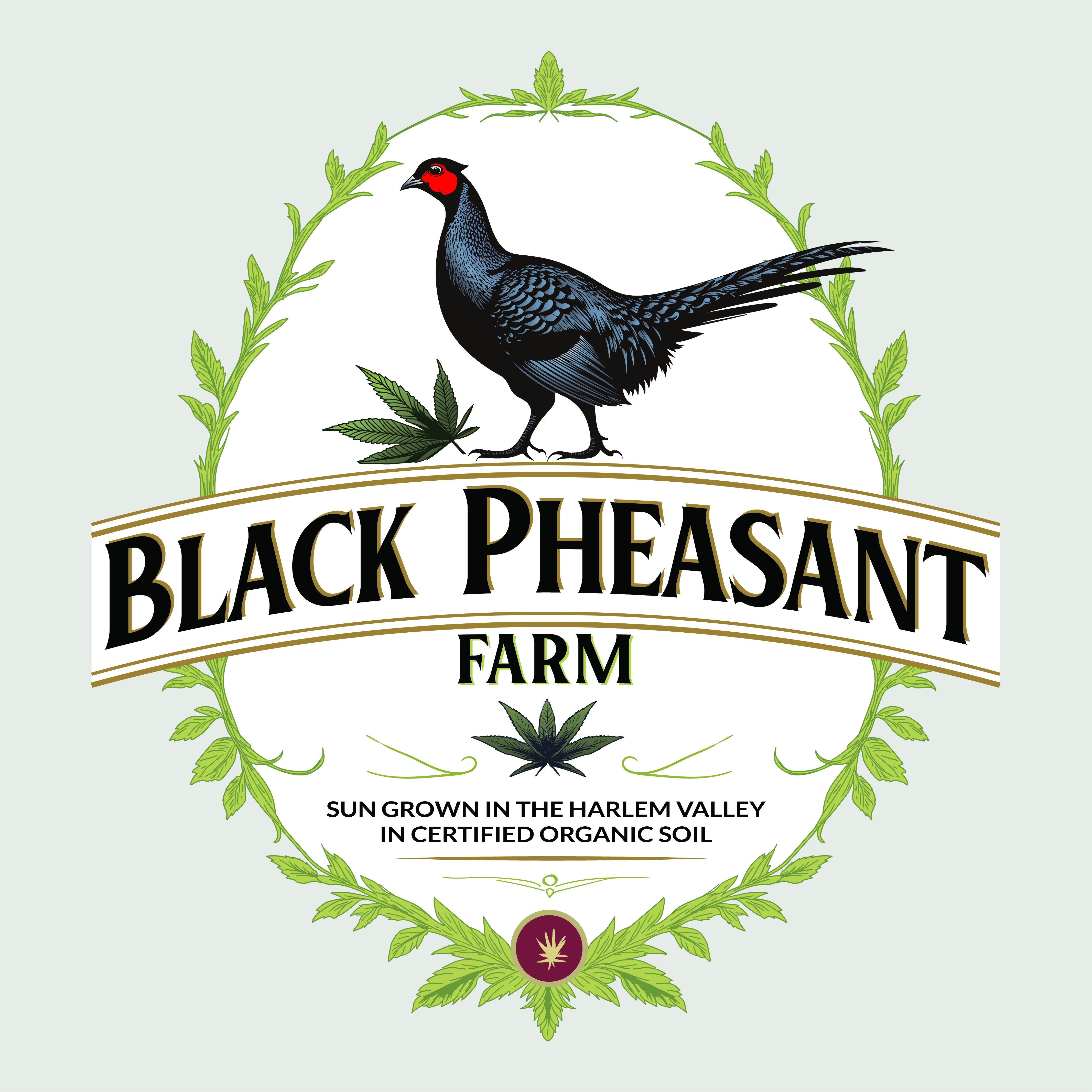 Logo Design by -ACE- for Black Pheasant Farm LLC | Design #35139673
