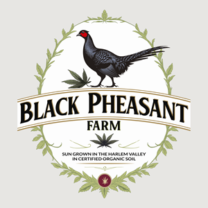 Logo Design by -ACE- for Black Pheasant Farm LLC | Design: #35139673