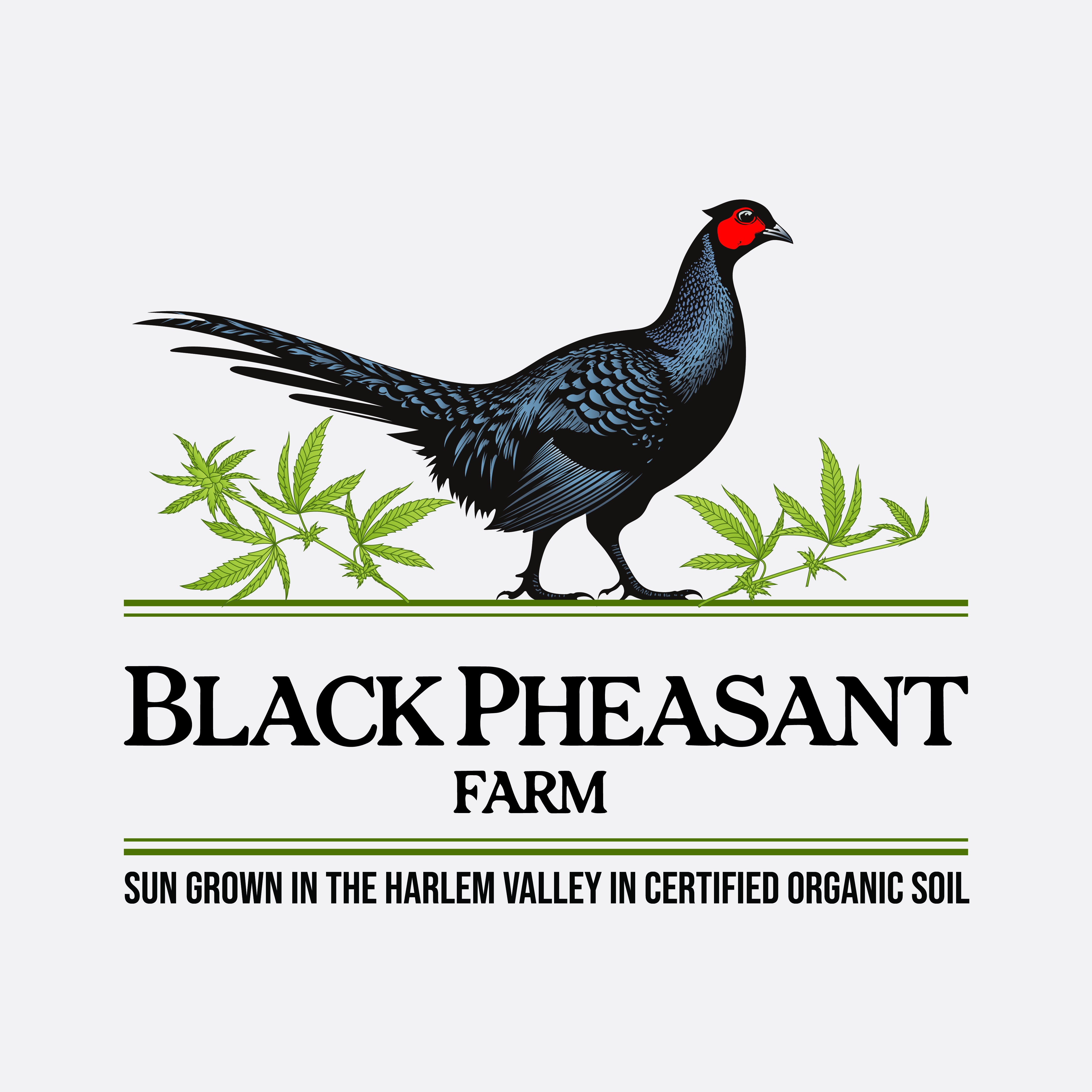 Logo Design by -ACE- for Black Pheasant Farm LLC | Design #35139686