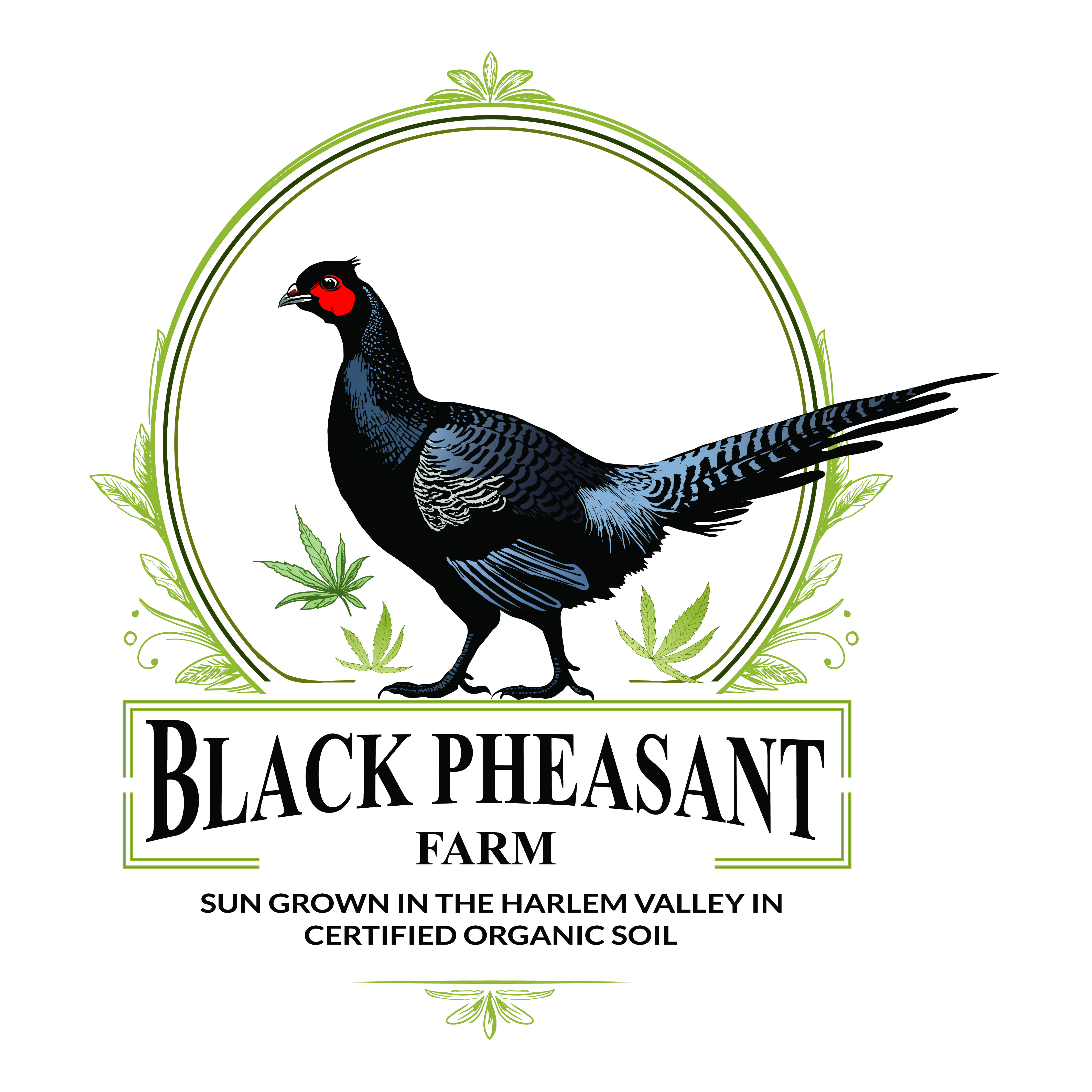 Logo Design by -ACE- for Black Pheasant Farm LLC | Design #35139697