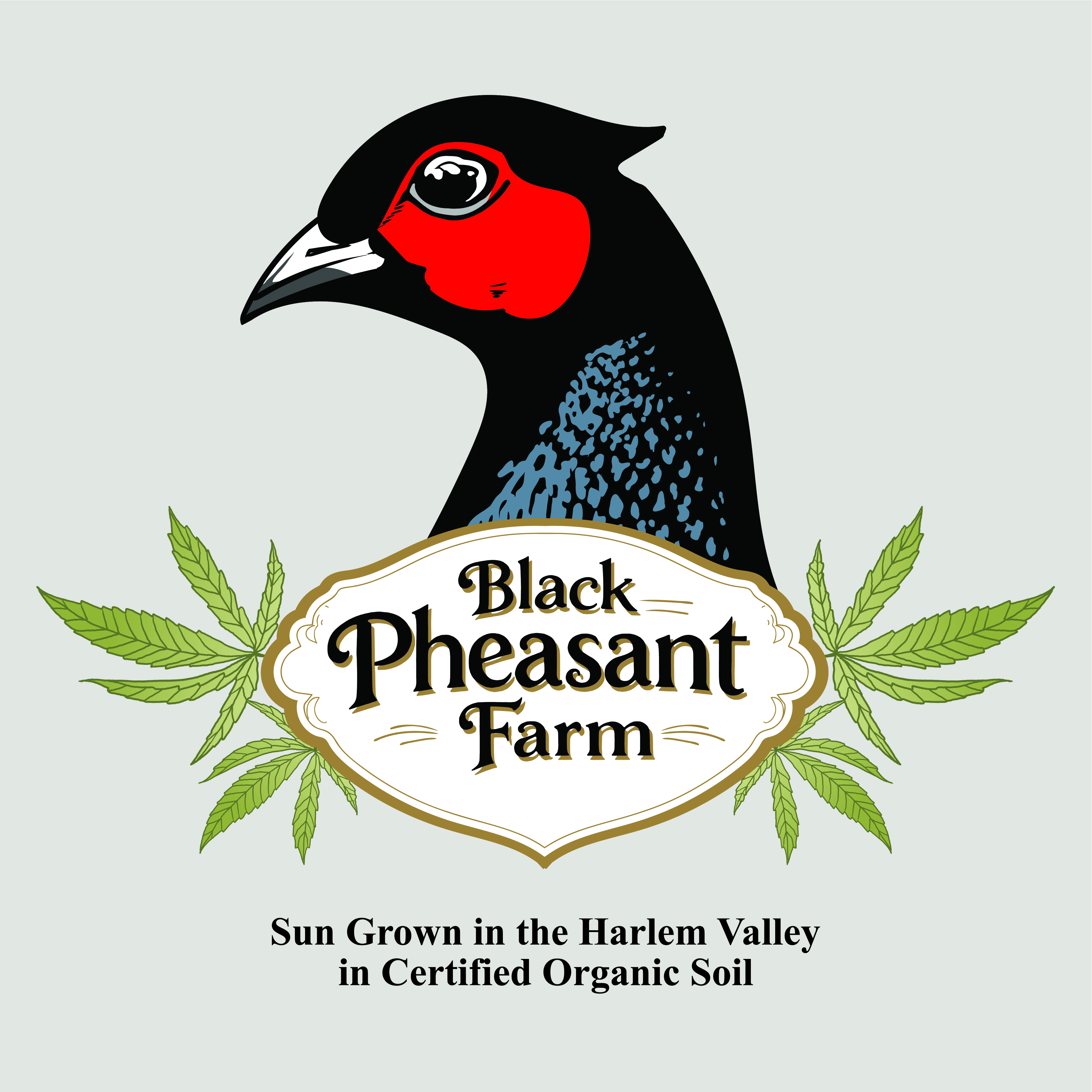 Logo Design by -ACE- for Black Pheasant Farm LLC | Design #35139699