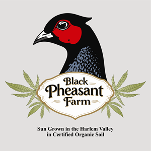 Logo Design by -ACE- for Black Pheasant Farm LLC | Design: #35139699