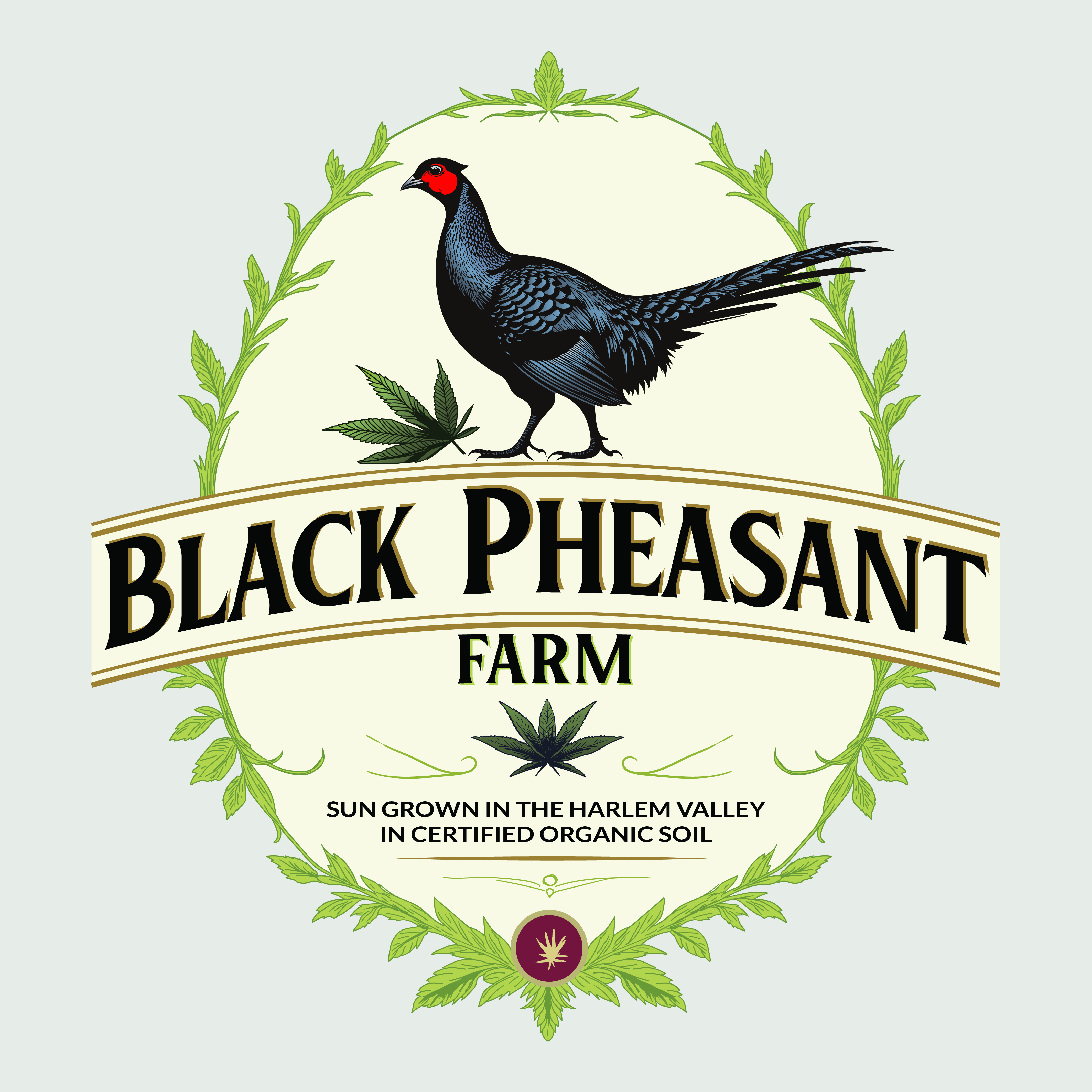 Logo Design by -ACE- for Black Pheasant Farm LLC | Design #35139955