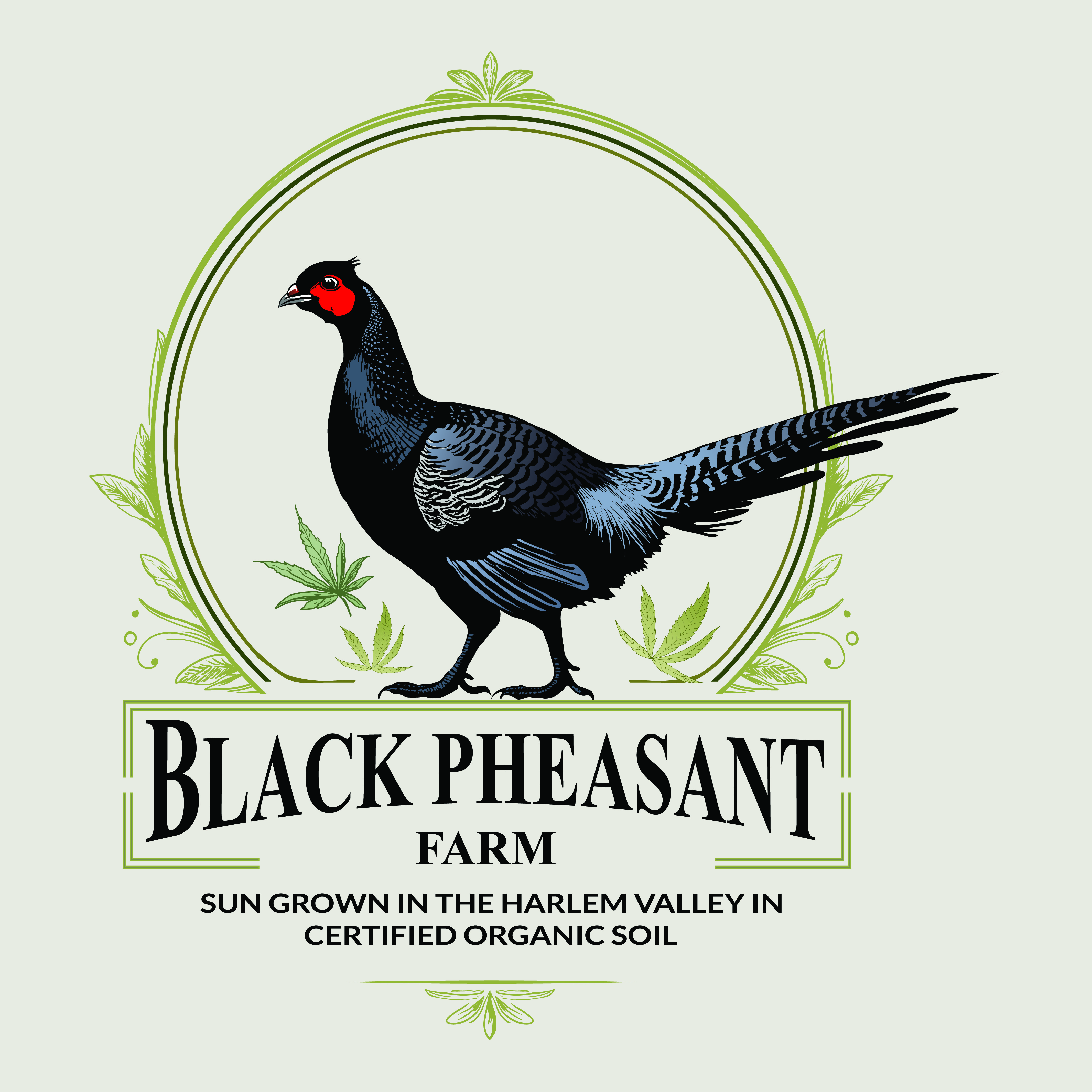 Logo Design by -ACE- for Black Pheasant Farm LLC | Design #35139956