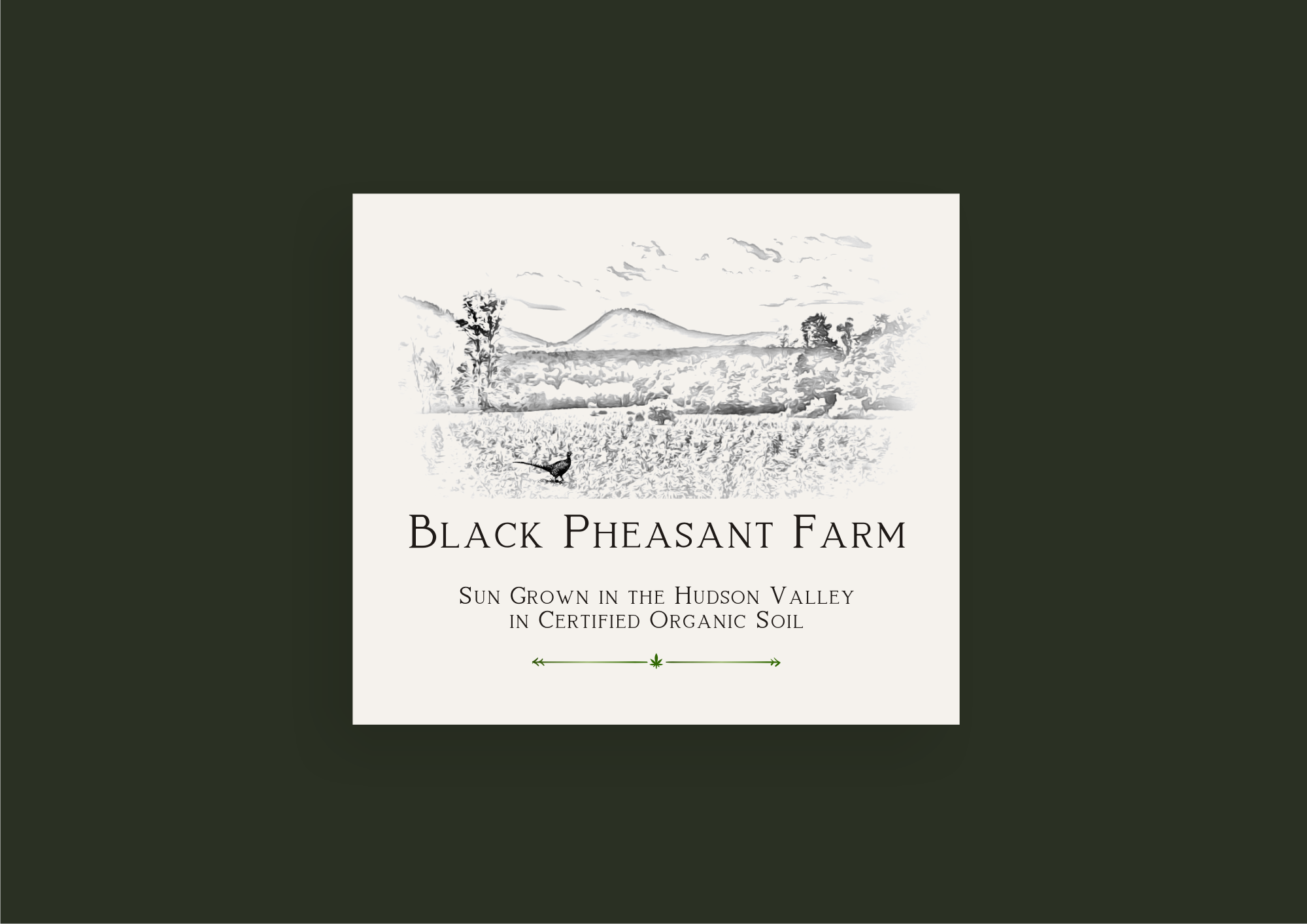Logo Design by Amduat Design for Black Pheasant Farm LLC | Design #35041690