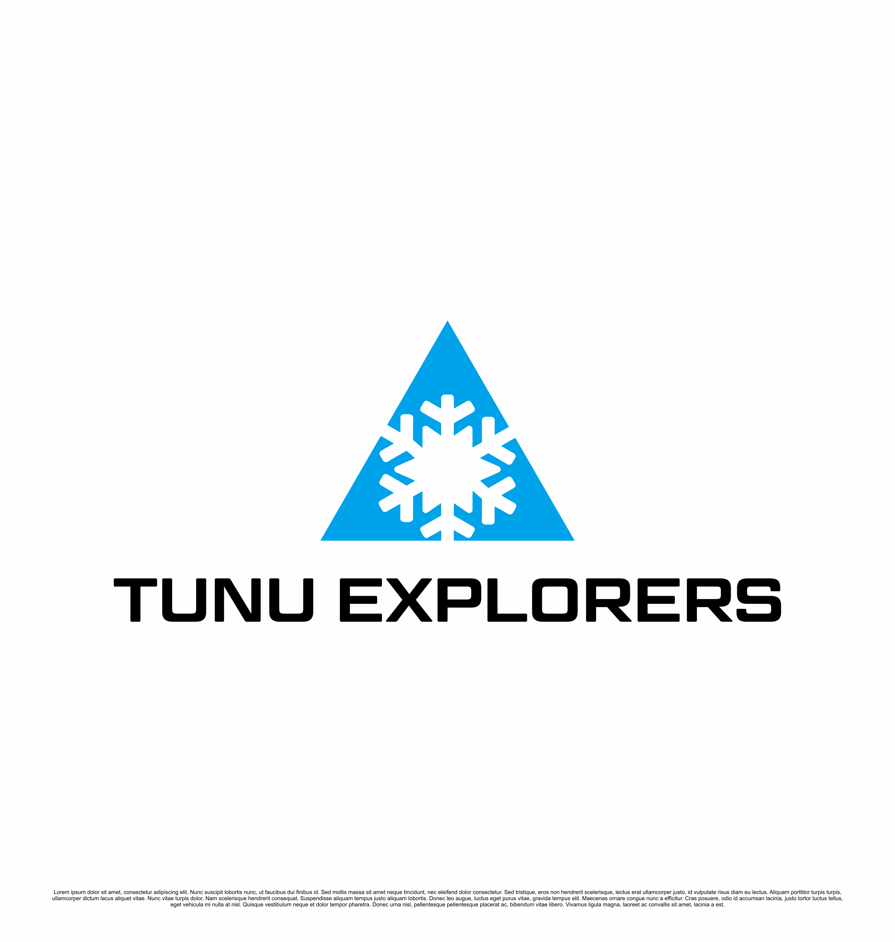 Logo-Design von saesean für Northern Explorers AS | Design #35029483