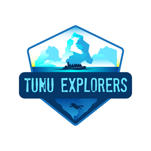 Logo-Design von dreampath für Northern Explorers AS | Design: #35047489