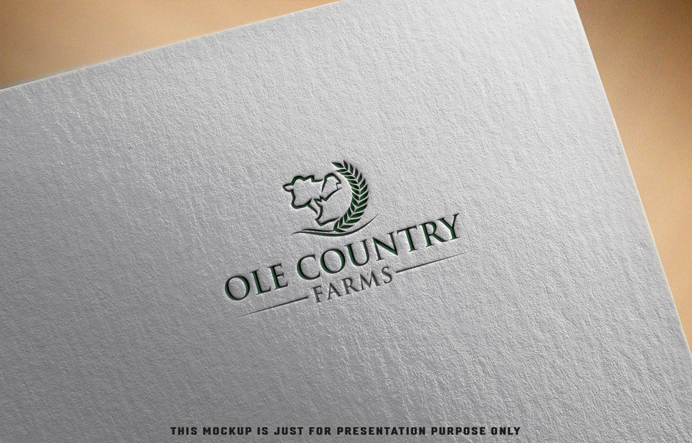 Logo Design by Razaq for this project | Design #35027004