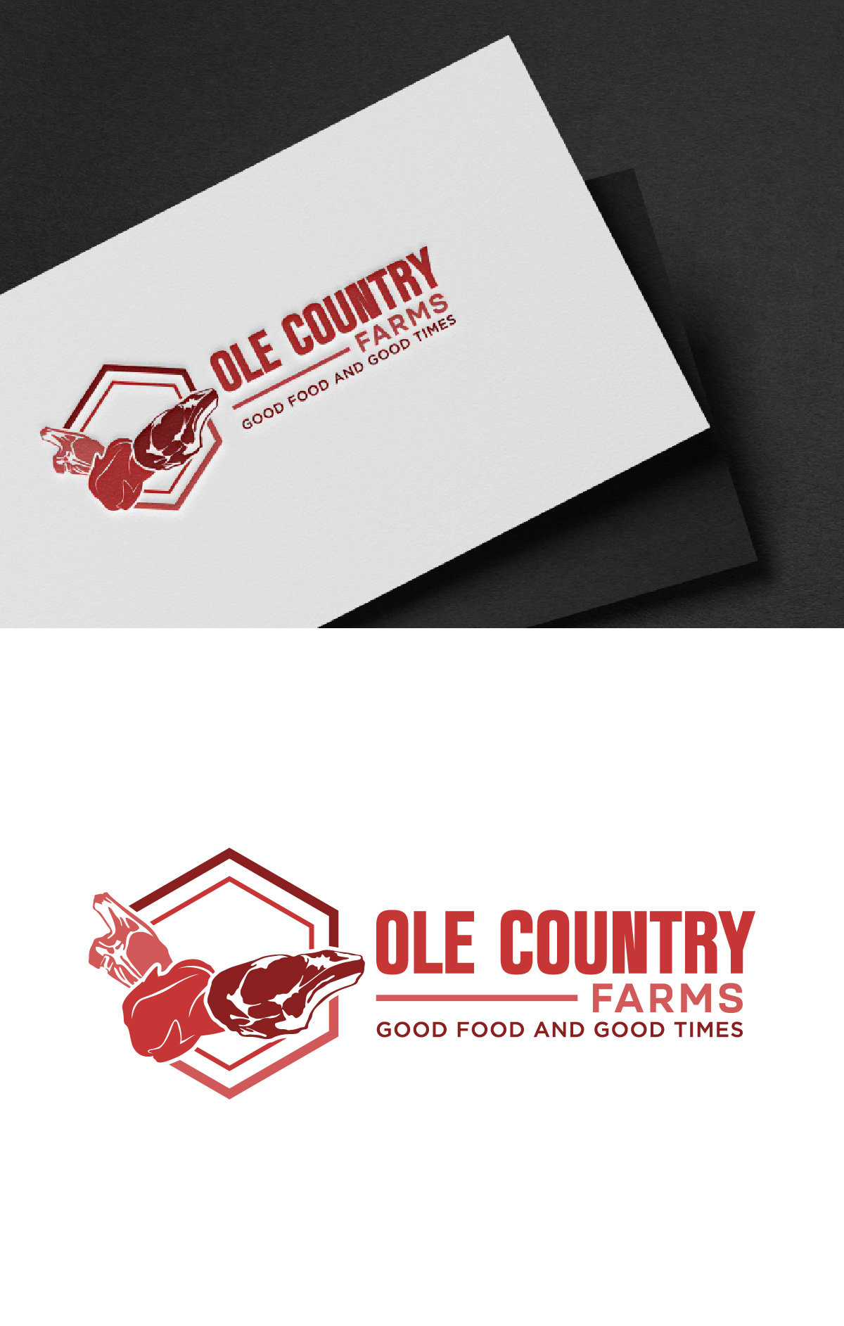 Logo Design by fly  design for this project | Design #35033377