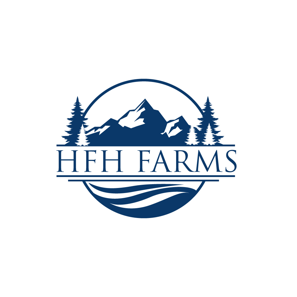 Logo Design by Krold IT Solutions for this project | Design #35038869