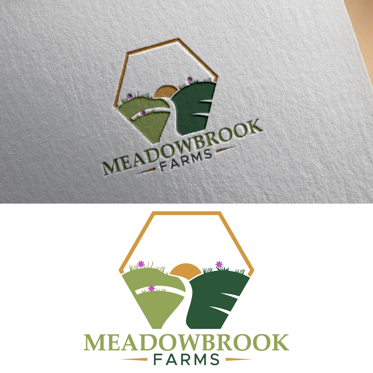 Design de Logo par fly  design pour ce projet | Design #35038038